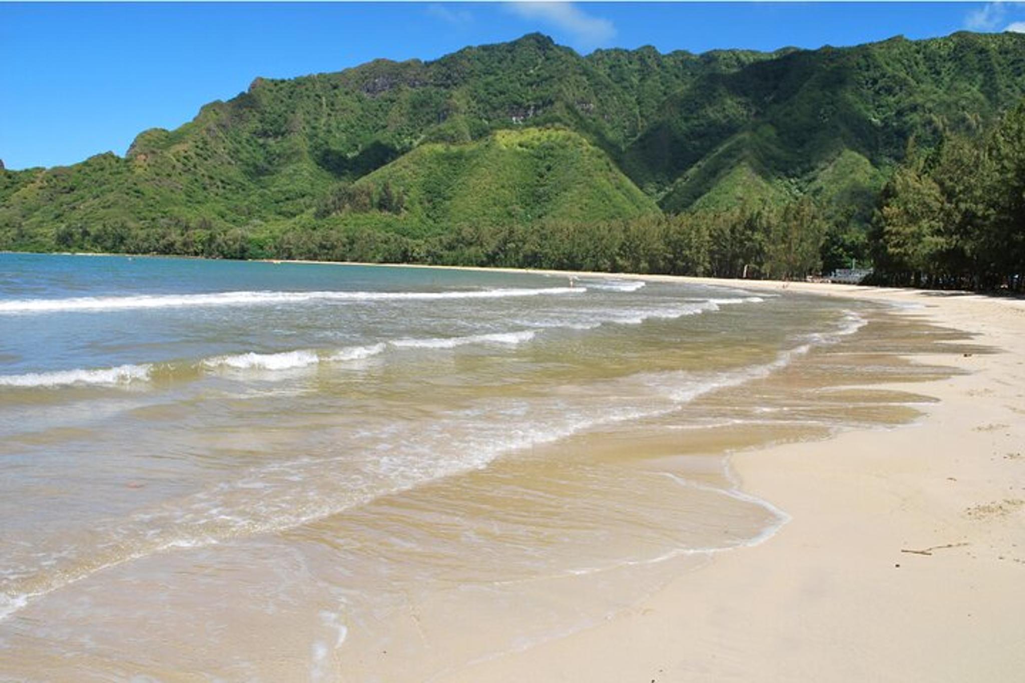 Oahu Kayaking Tour on Kahana River - Image 3