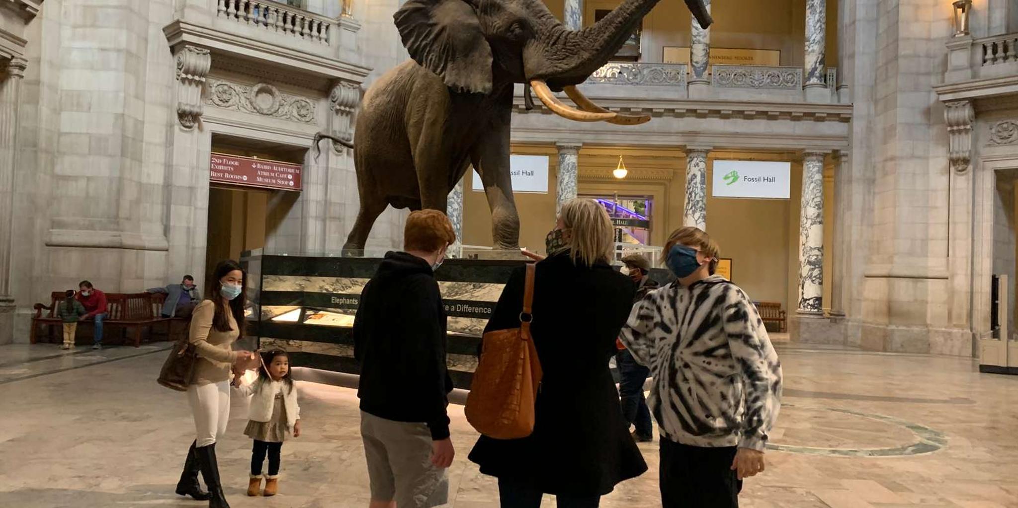 Washington DC Smithsonian Museum of Natural History Tour 2 hr - Image 1