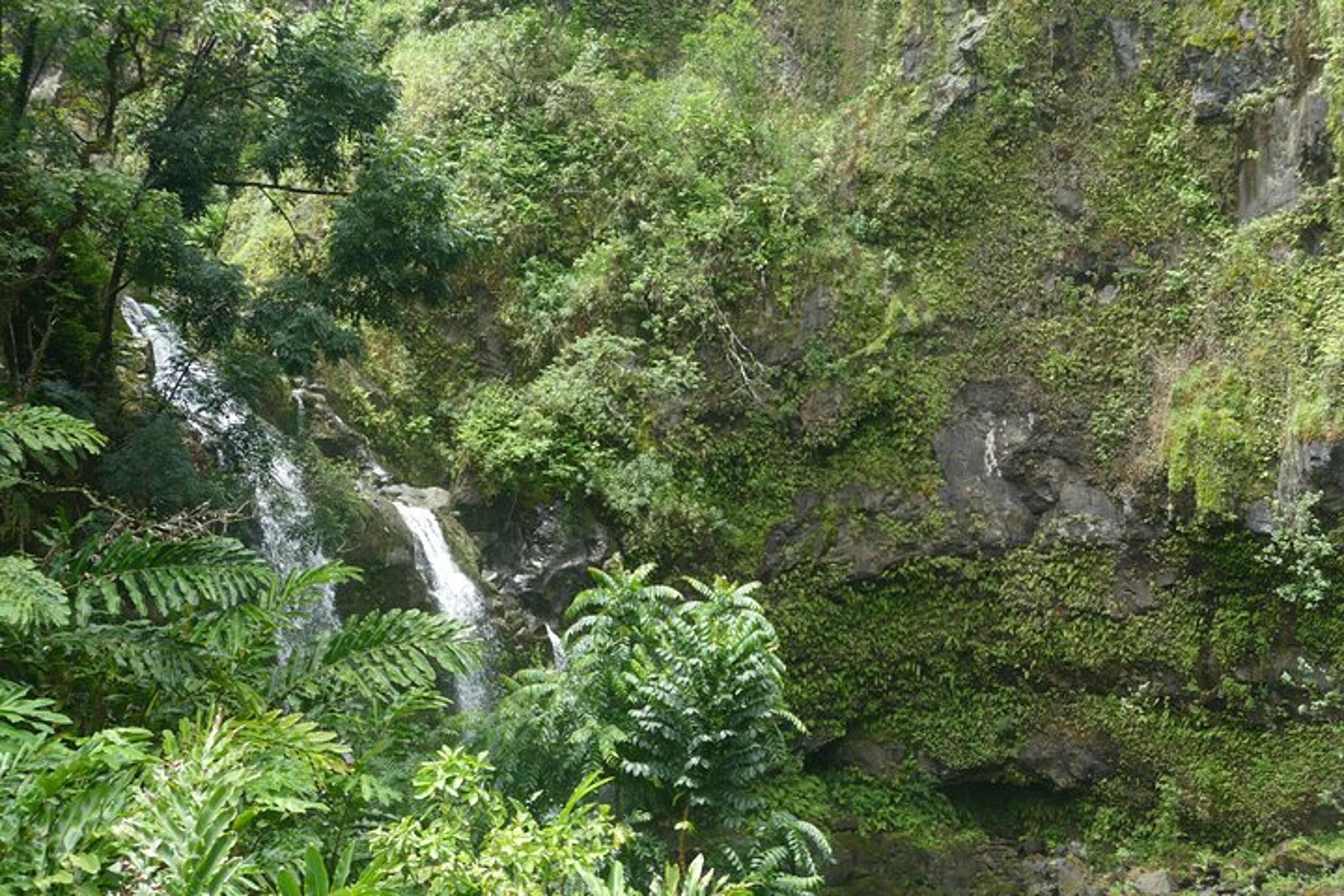 Maui Road to Hana Private Tour - Image 5