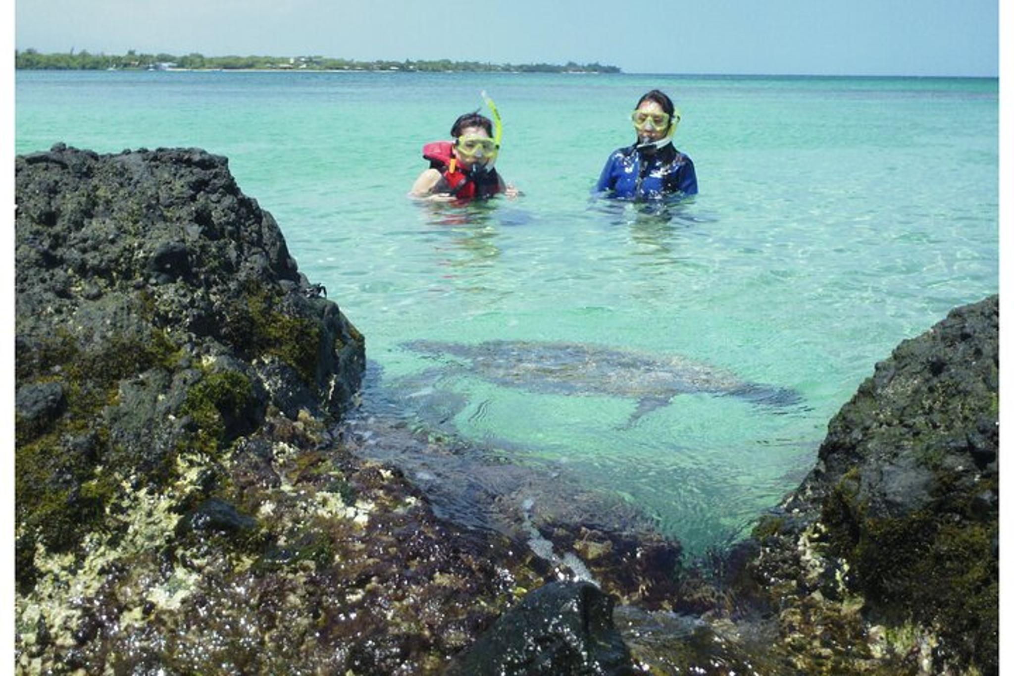 Kailua-Kona Ocean Kayak and Snorkel Tour 4 hr - Image 3
