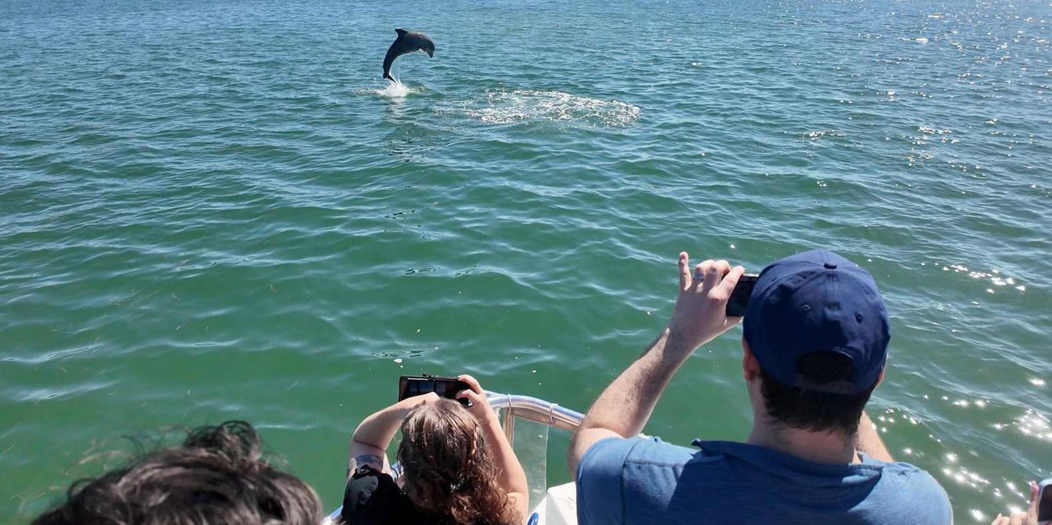 Miami Wildlife Cruise and Raccoon Island Walk - Image 3