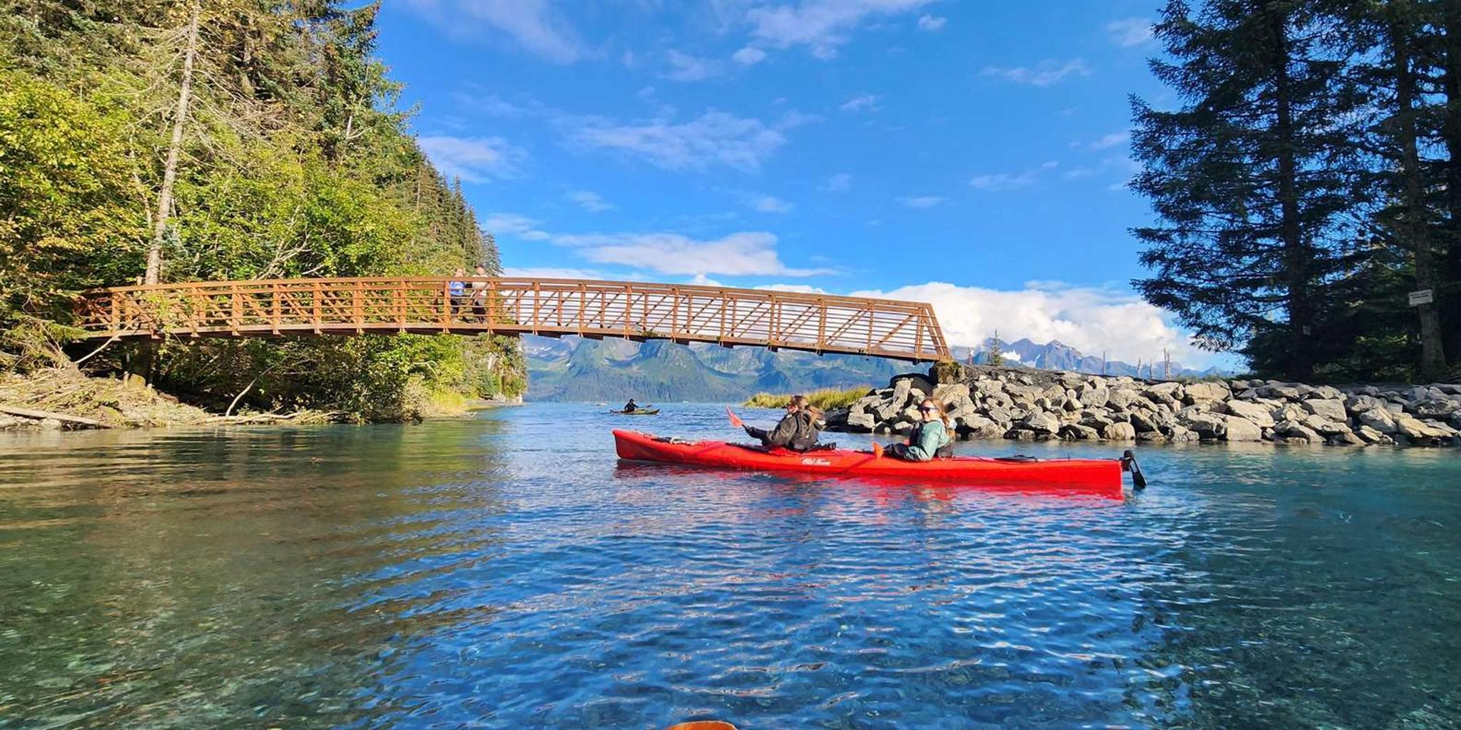 Seward Tonsina Point Kayak Tour - Image 2