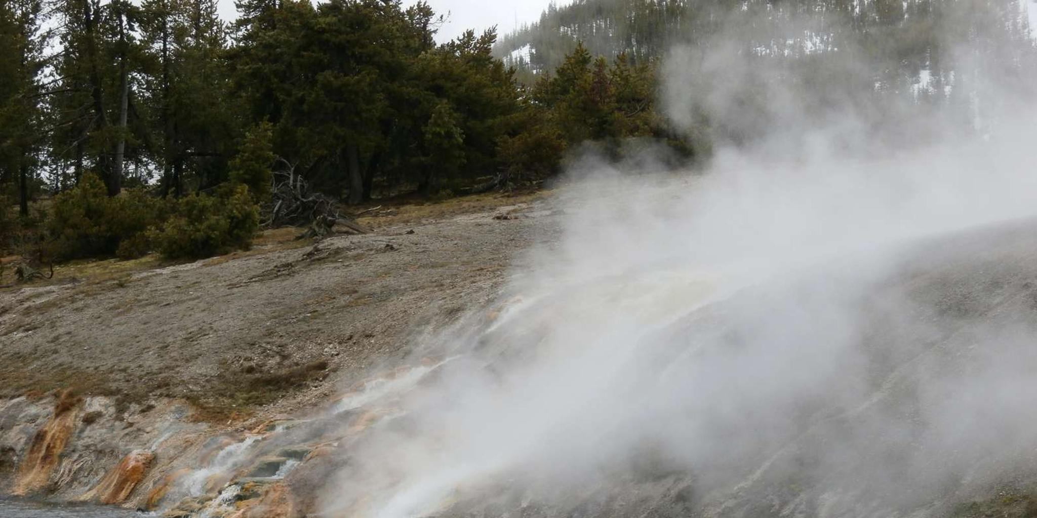 Yellowstone Wildlife Tour with Lunch - Image 2
