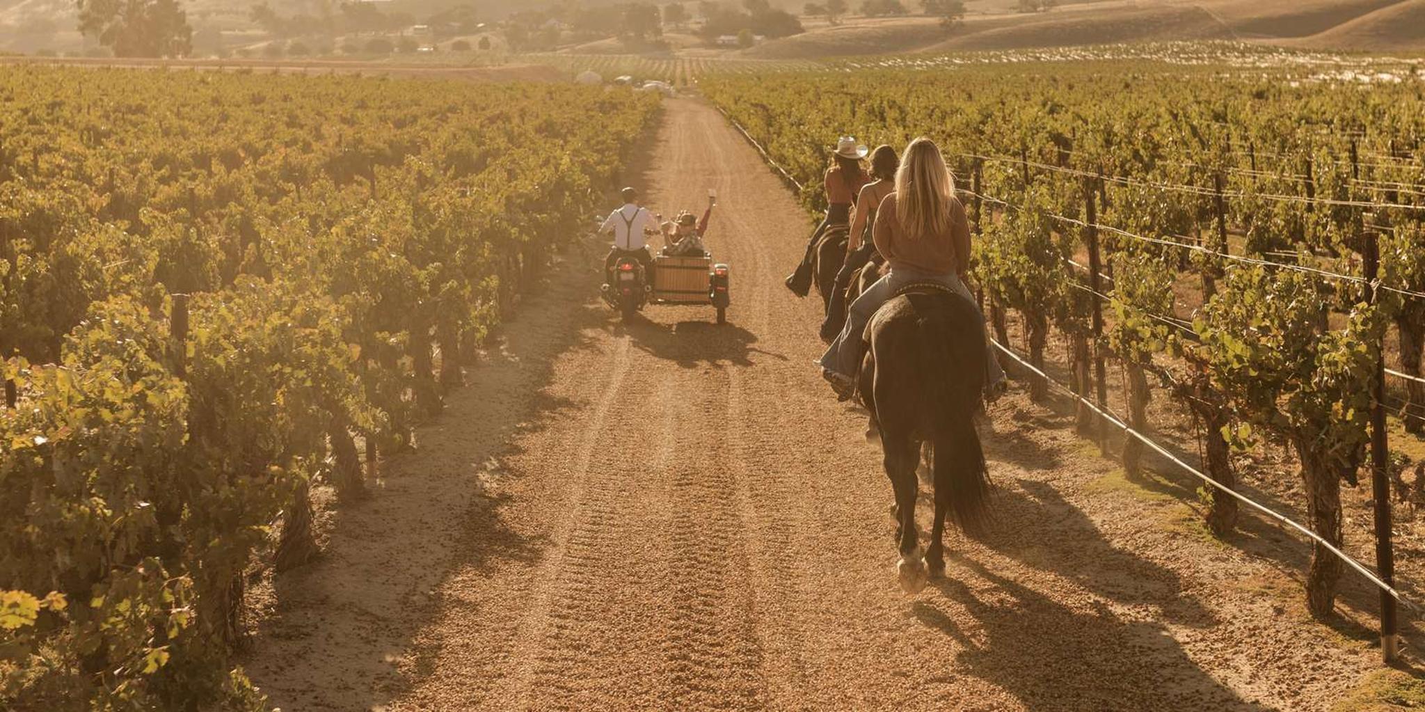 Paso Robles Sidecar Wine Adventure - Image 2