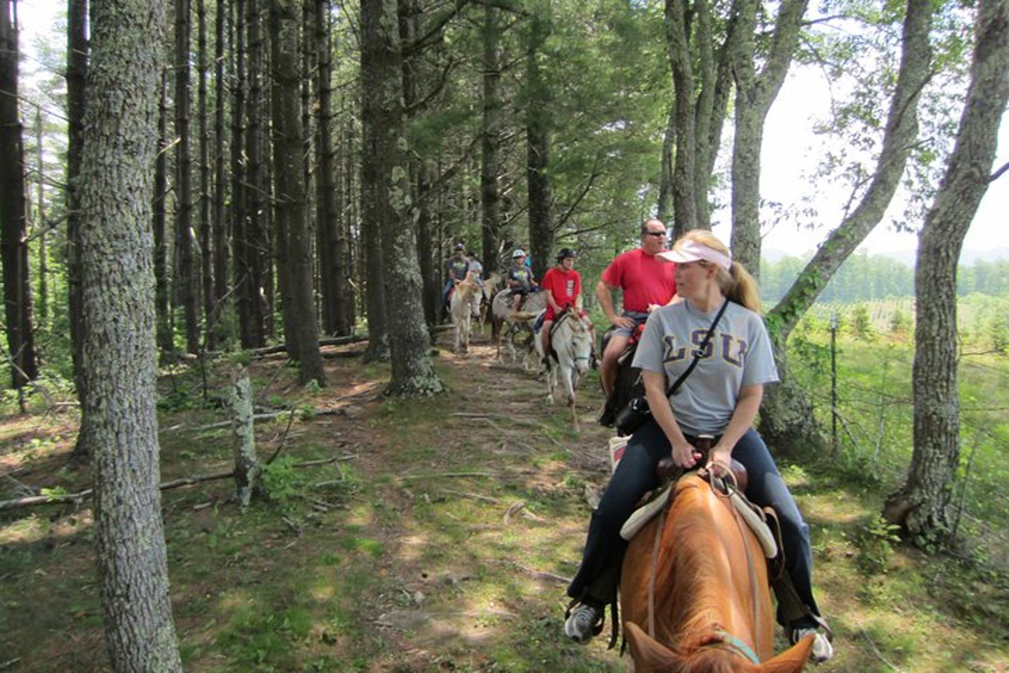 Cullowhee Horseback Ride through Flame Azalea and Fern Forest 75 min - Image 1