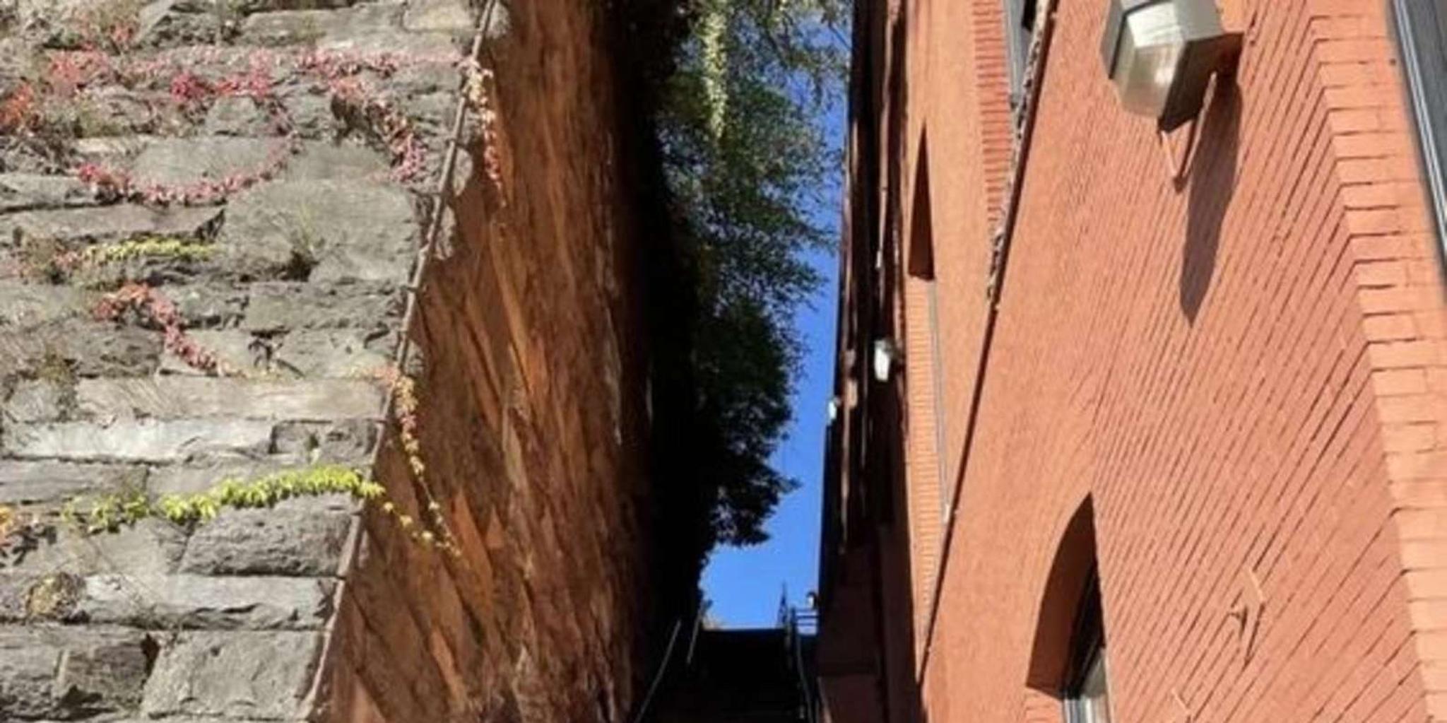 Washington D.C. Street Food Tour with Local Guide - Image 5