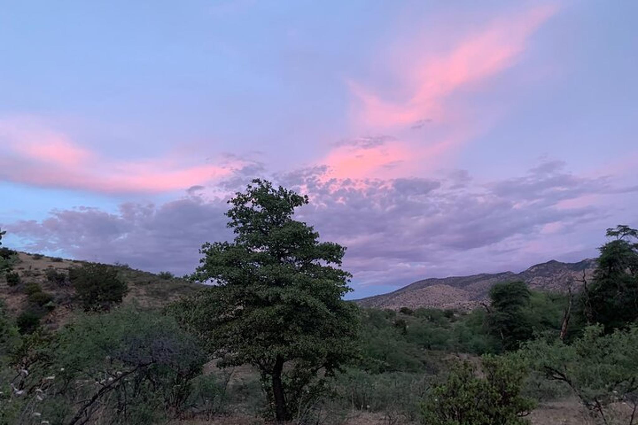 Tucson Saguaro National Park Guided Hikes - Image 3
