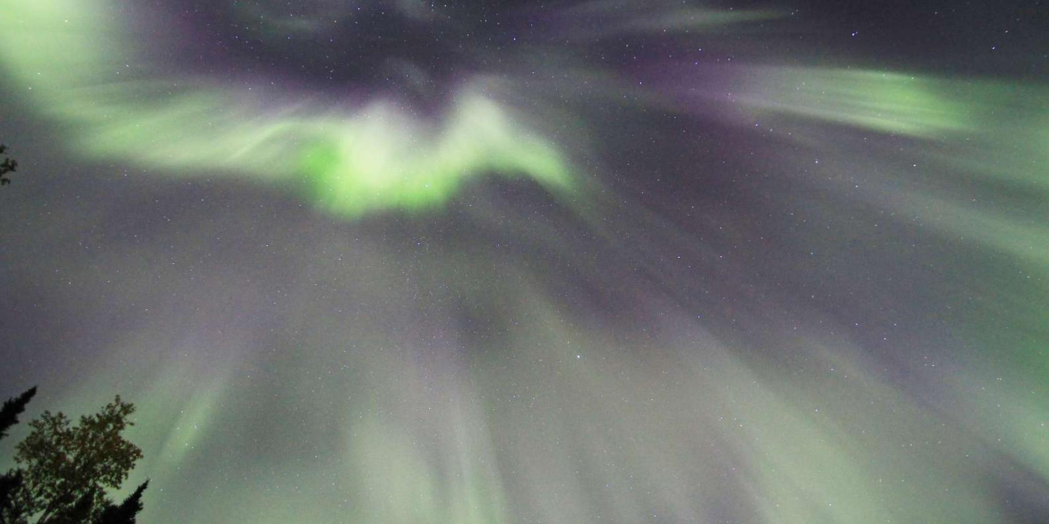 Fairbanks Northern Lights Dog Sled Tour with Dinner - Image 3