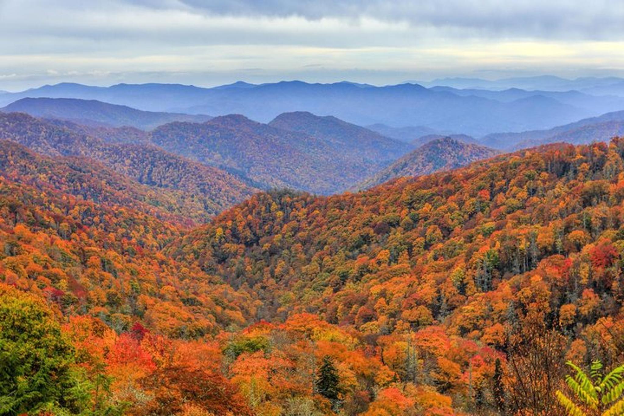 Asheville Waterfalls and Blue Ridge Parkway Hiking Tour - Image 5