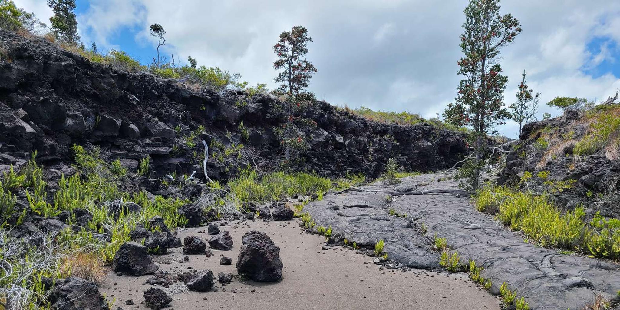 Hawaii Volcanoes National Park Private Tour - Image 6
