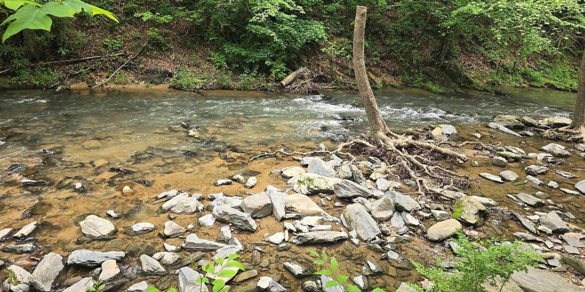 Pigeon Forge Smoky Bear Discovery Tour 3 hr - Image 4