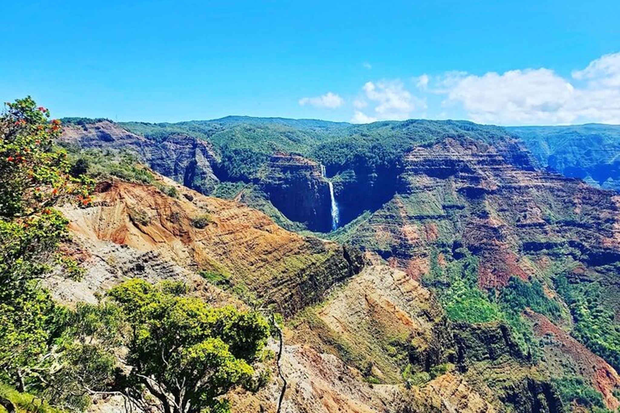 Kauai Private Guided Tour of Waimea Canyon