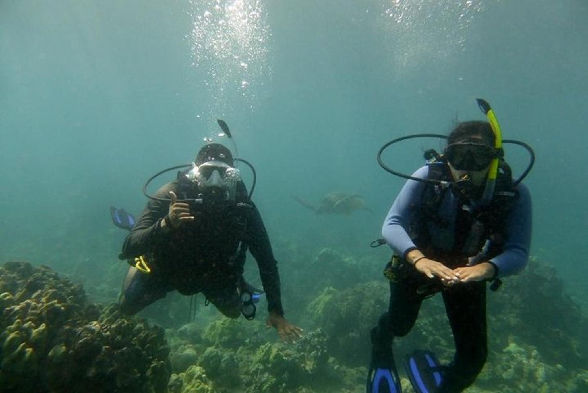 South Maui Scuba Dive Experience - Image 2