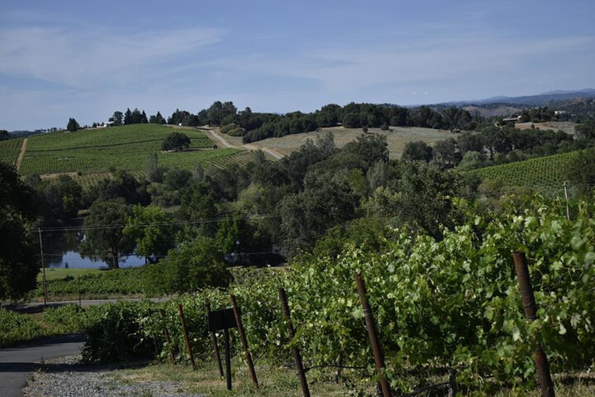 Placerville Wine Tasting Tour