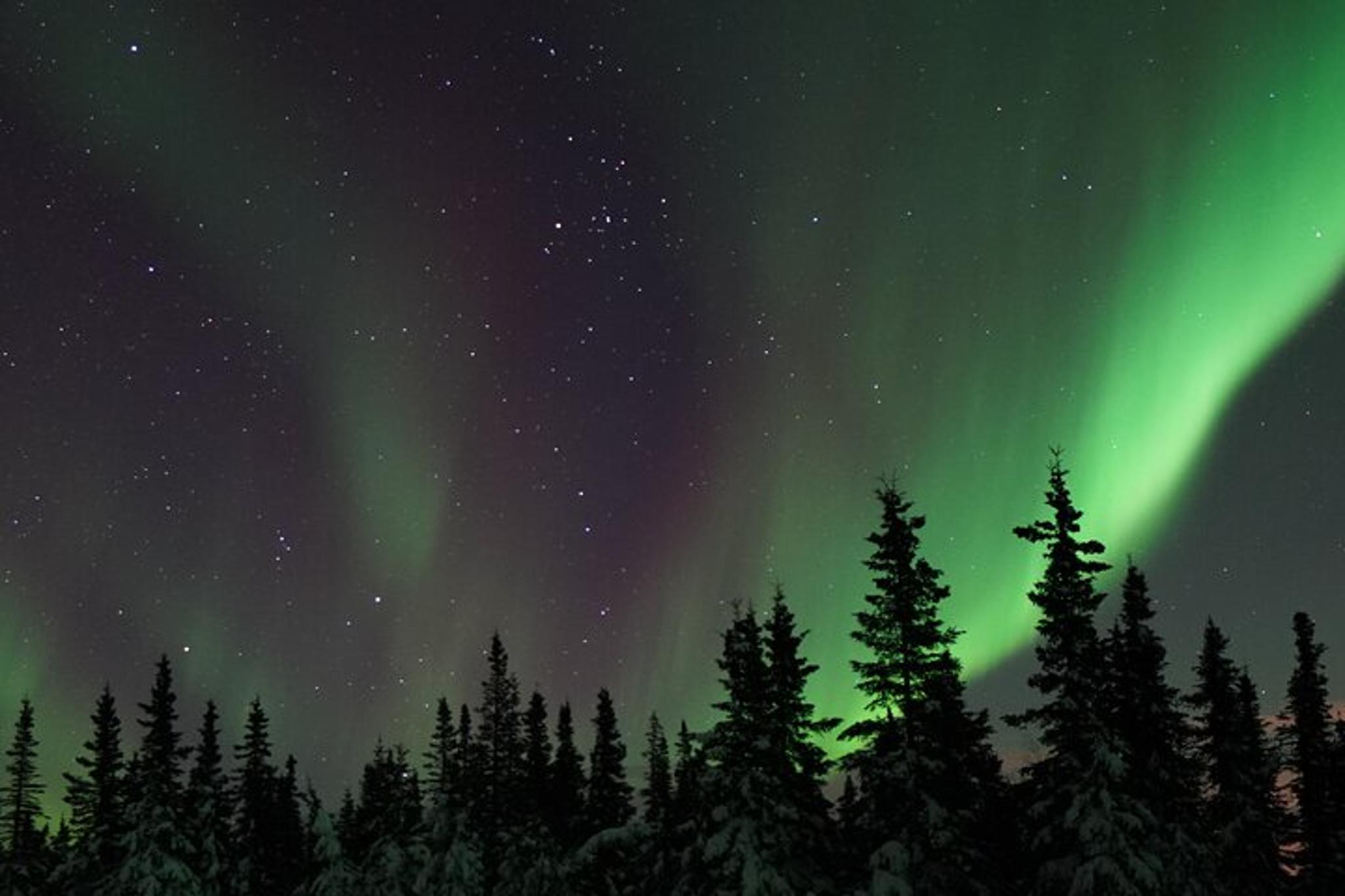 Fairbanks Northern Lights Adventure - Image 5