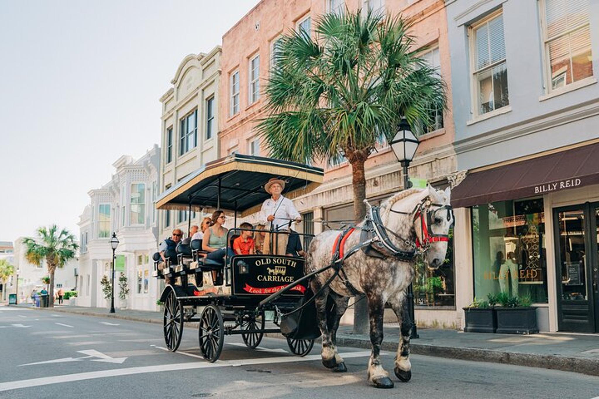 Charleston Horse-Drawn Carriage Tour - Image 6
