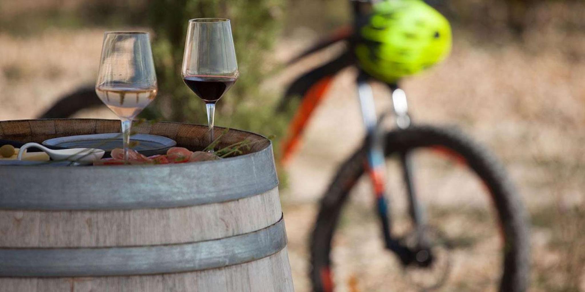 Traverse City Wine Tour at Sunset - Image 1