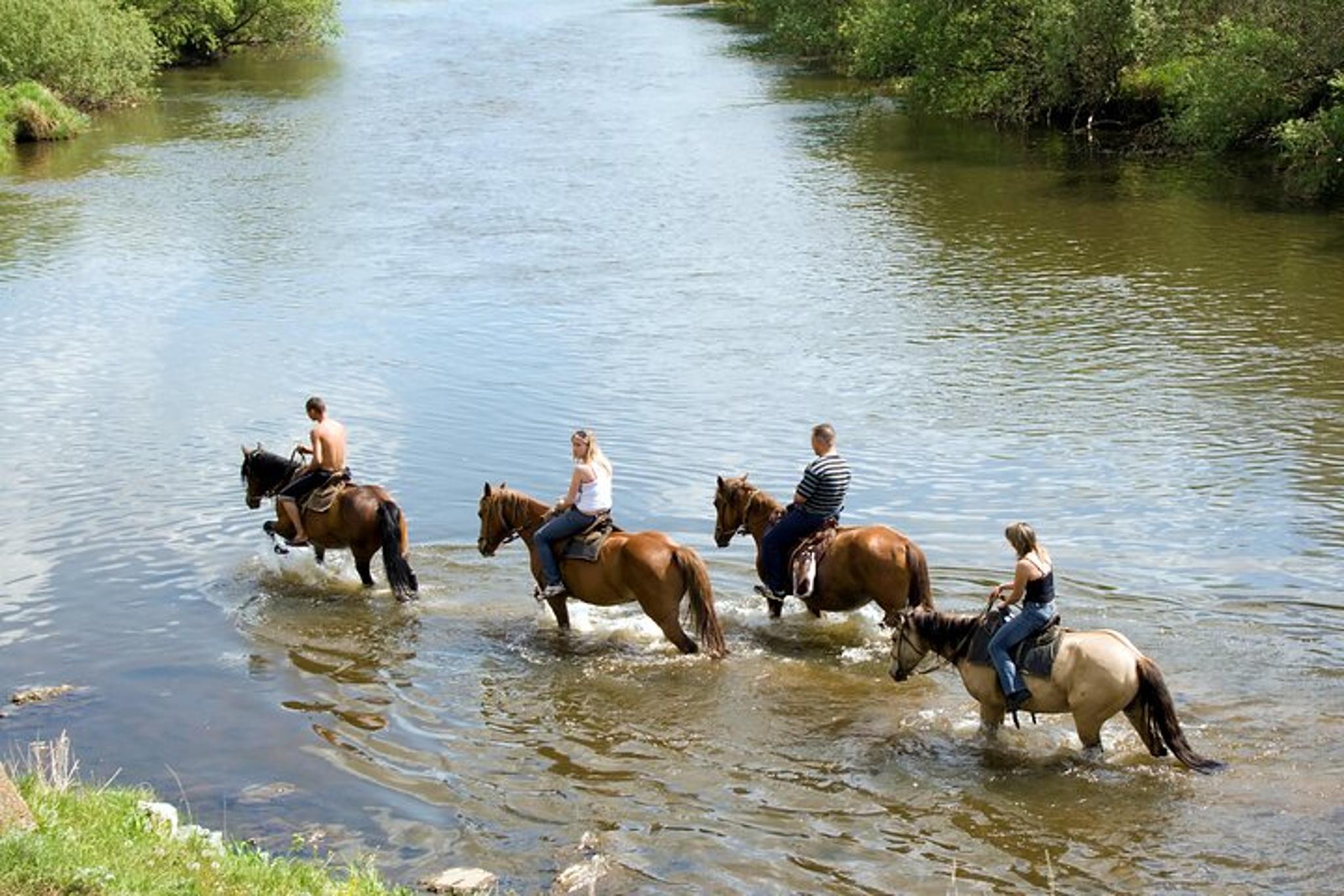 Sedona Horseback Riding Tour 1 hr - Image 5