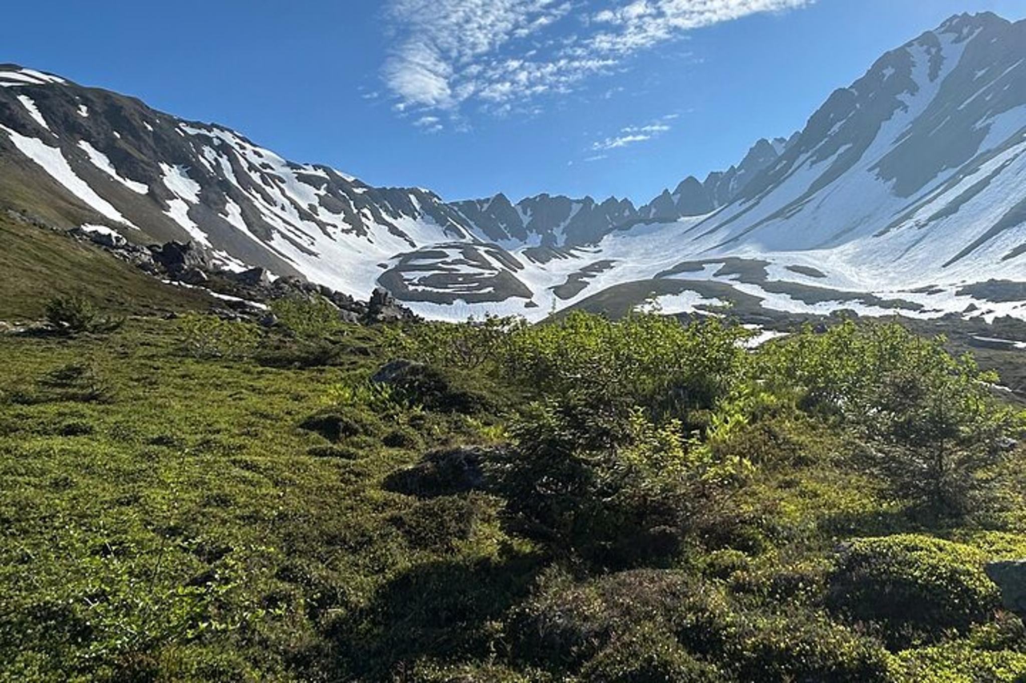 Seward Hiking Tour of Mount Marathon - Image 5