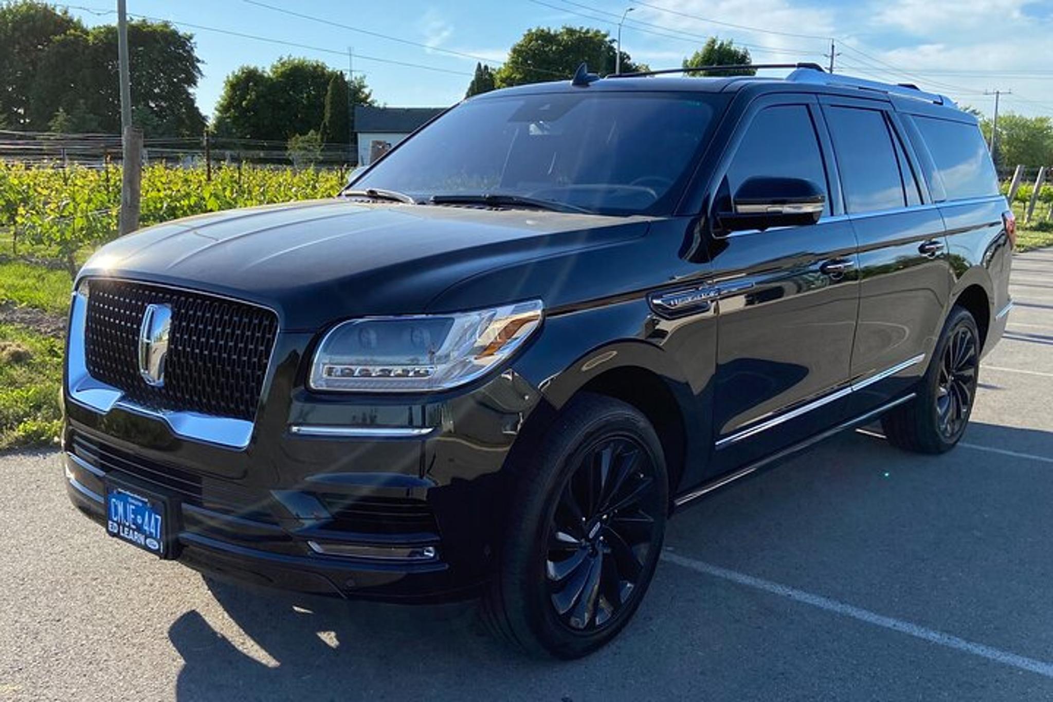 Niagara Falls Private Airport Transfer from Buffalo - Image 2