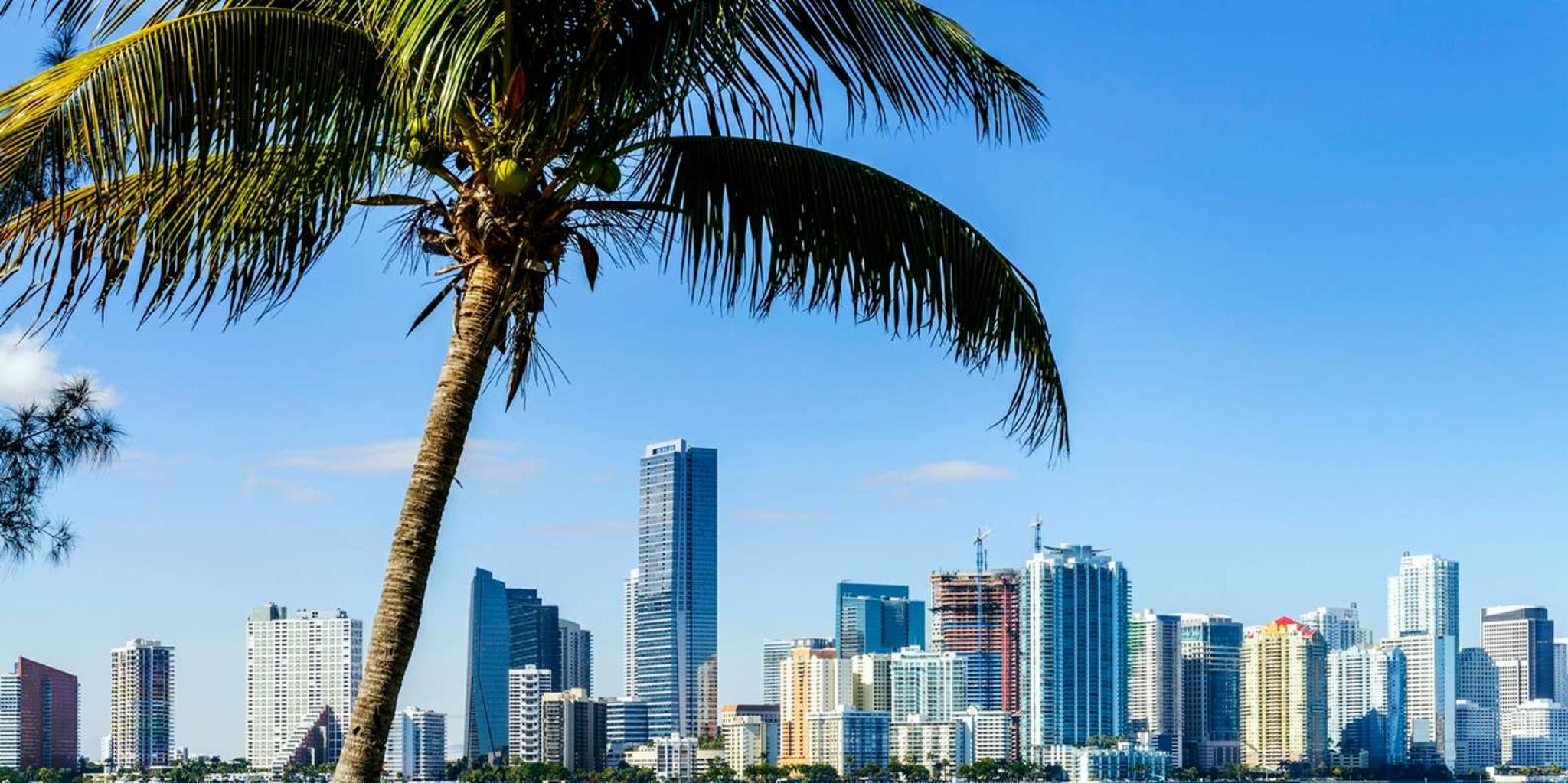 Miami City Tour and Biscayne Bay Boat Ride - Image 1