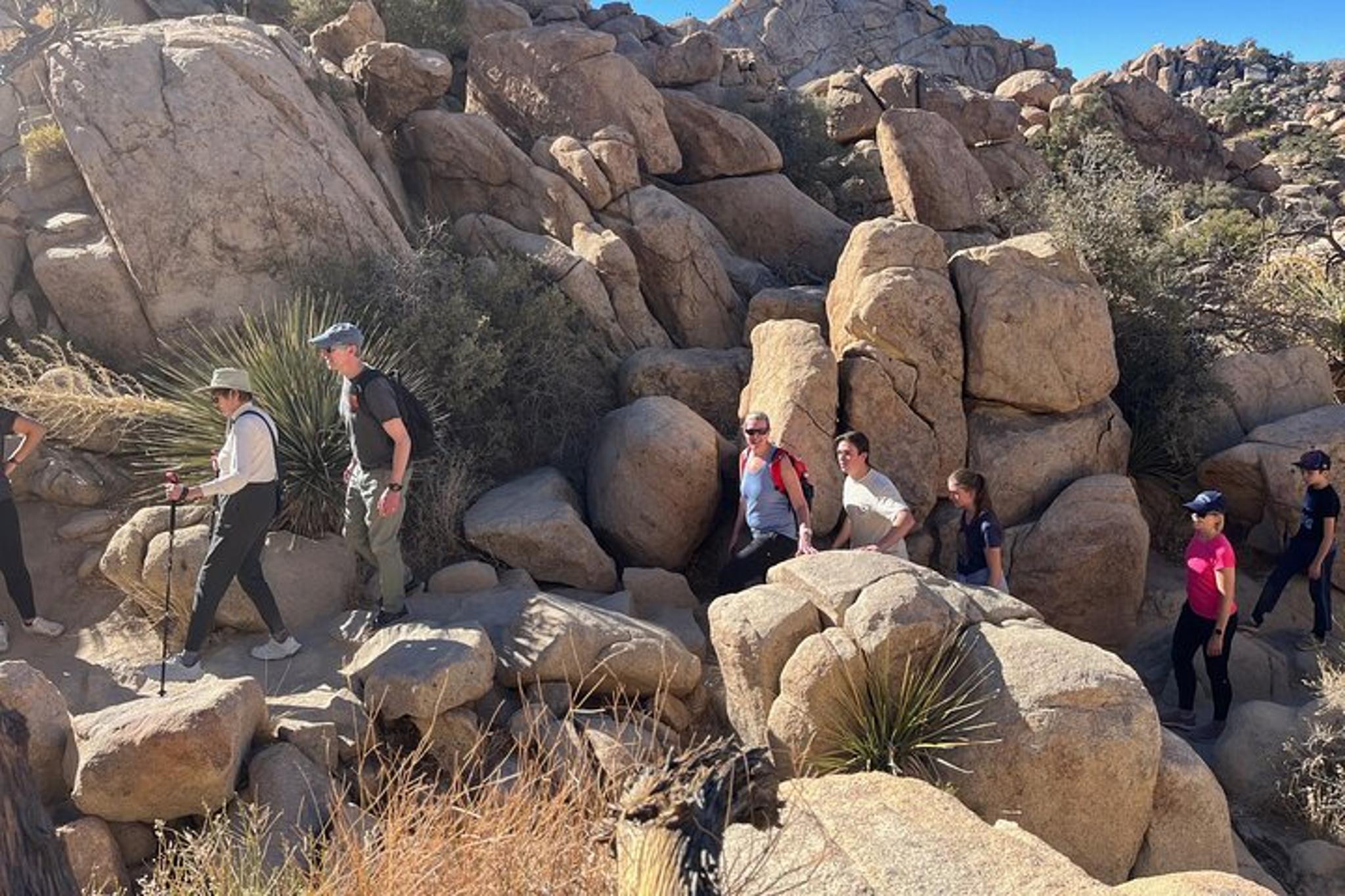 Joshua Tree National Park Sightseeing Tour - Image 4
