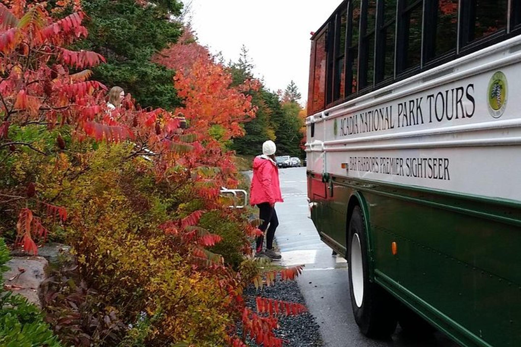 Bar Harbor Bus Tour of Acadia National Park