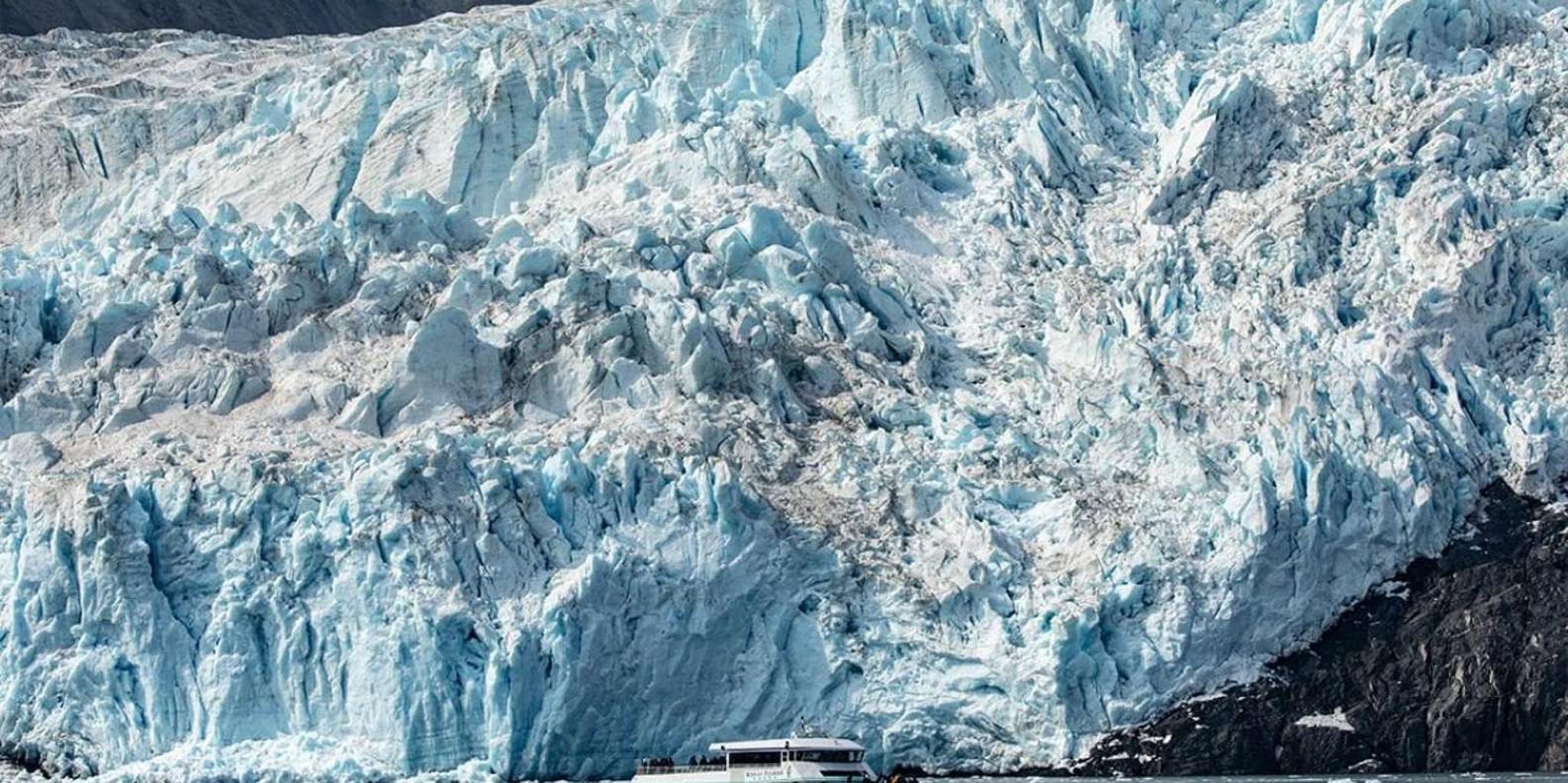 Seward Kenai Fjords National Park Cruise 7 hr - Image 2