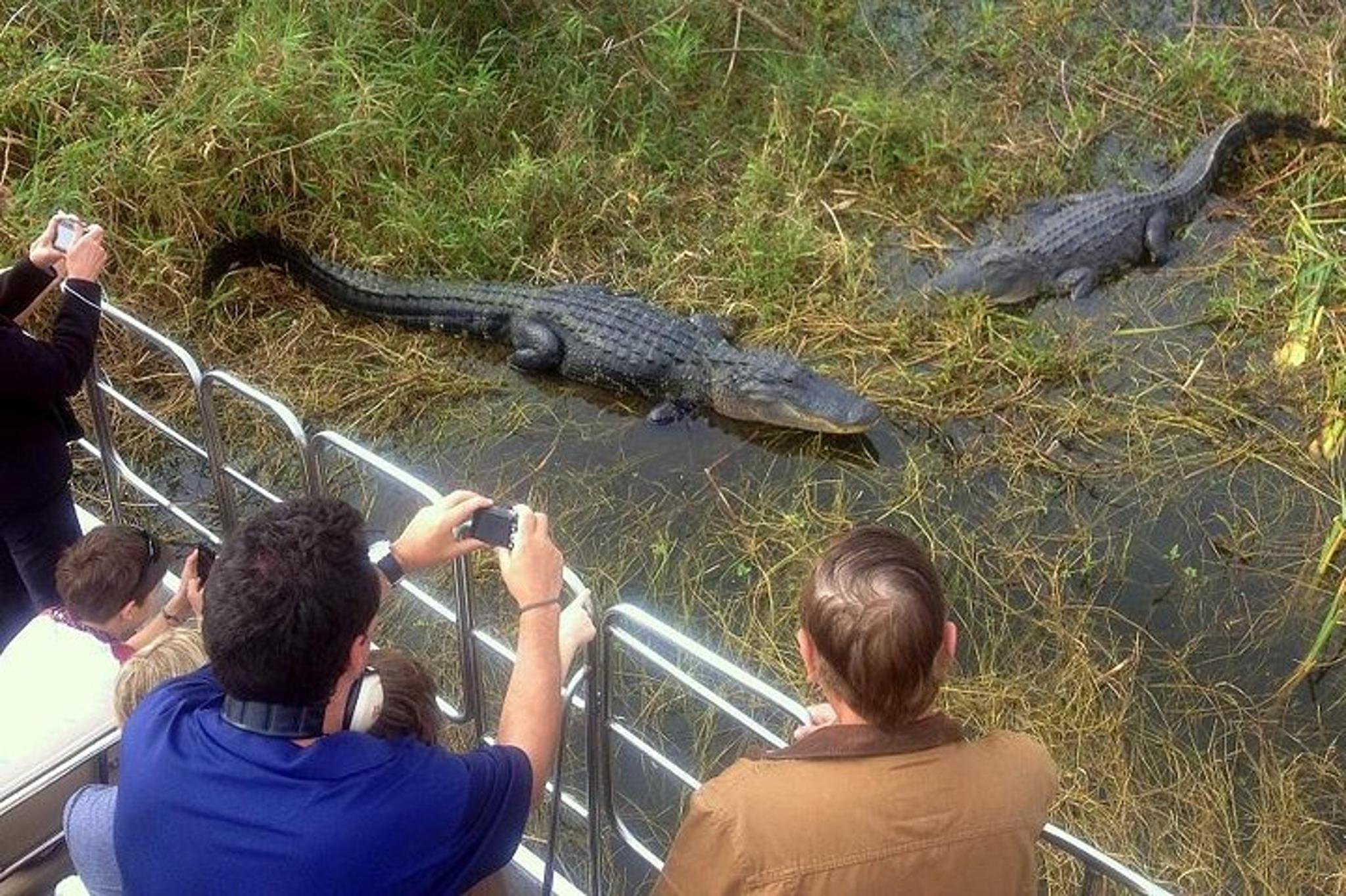 Orlando Everglades Airboat Tour - Image 6