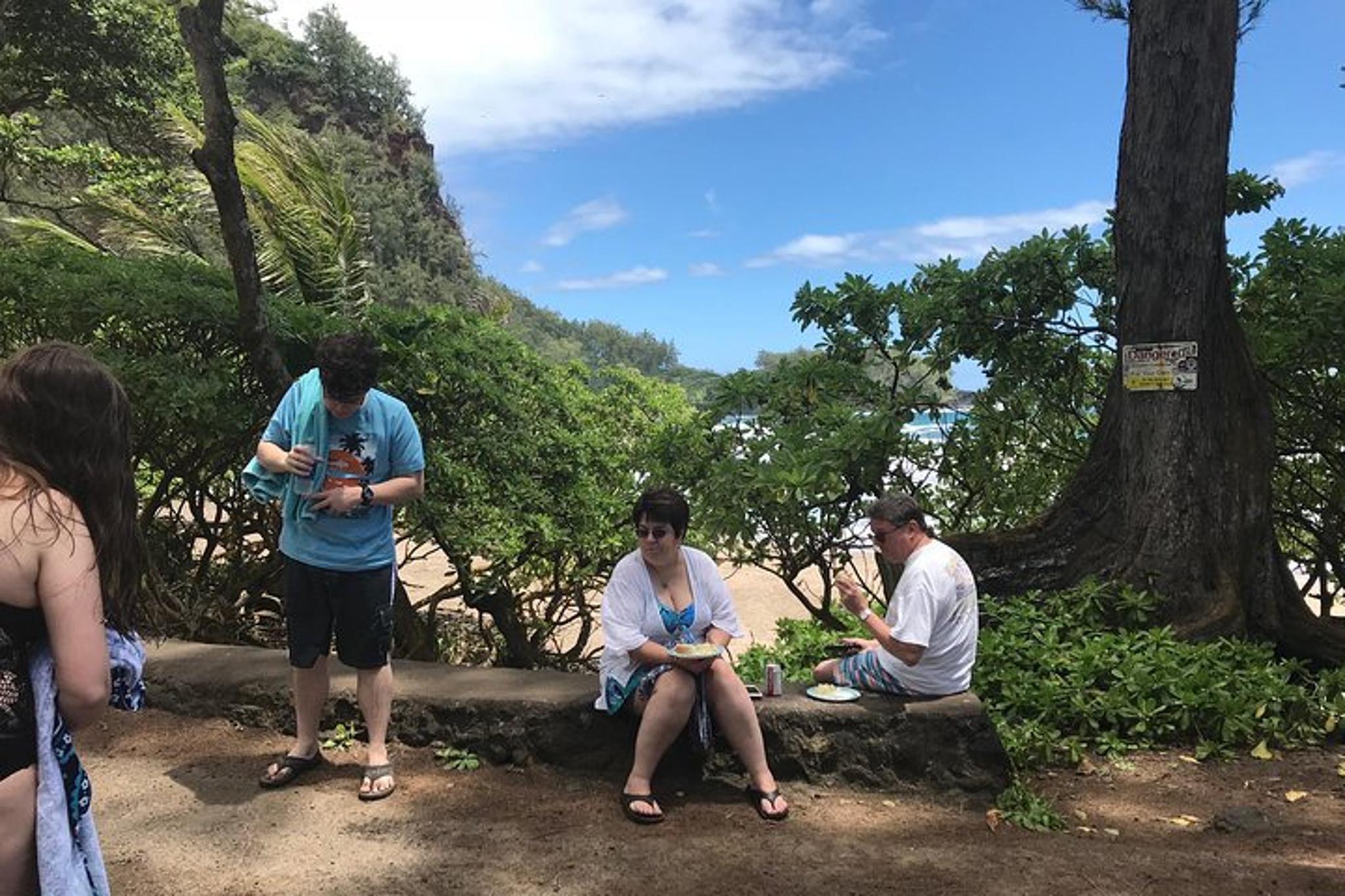 Maui Private Island Tour - Image 3