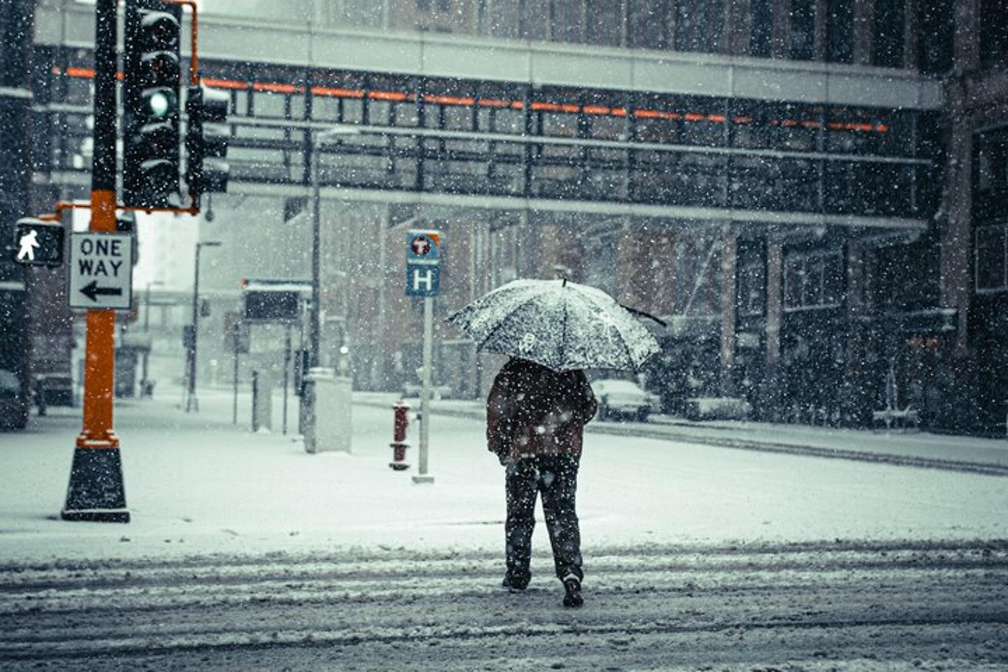 Minneapolis Walking Tour & Skyway Trail - Image 3