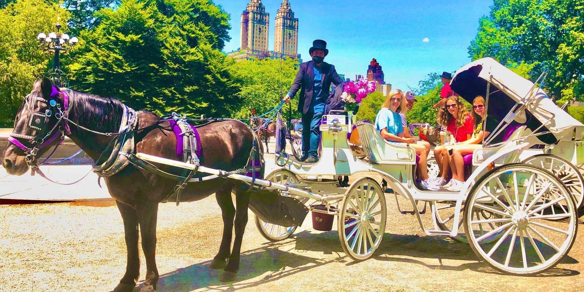 New York City Central Park Horse and Carriage Tour - Image 5