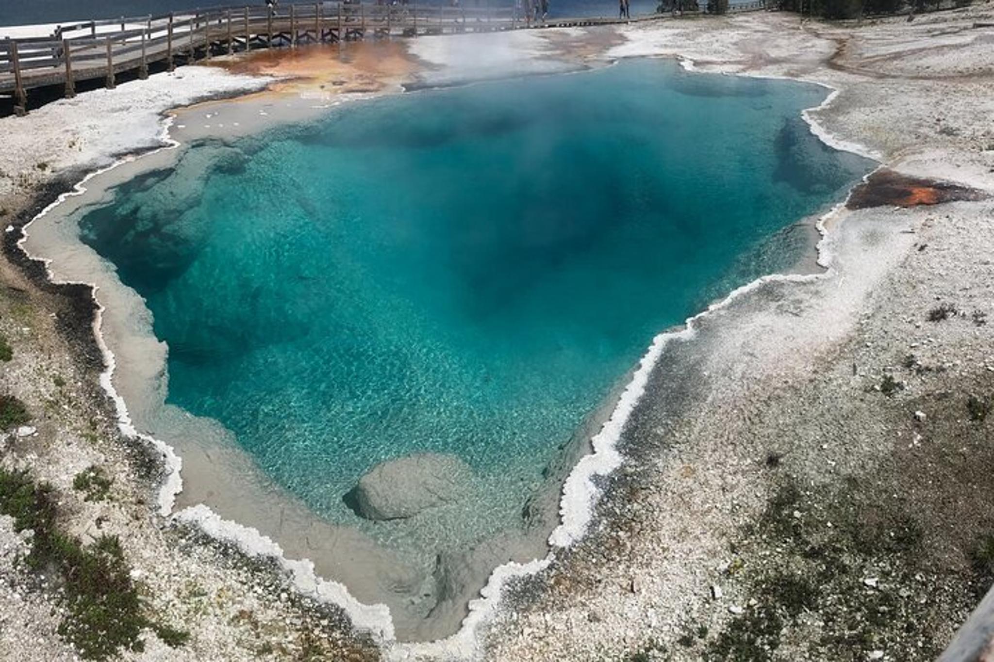 Yellowstone Private Tour with Picnic