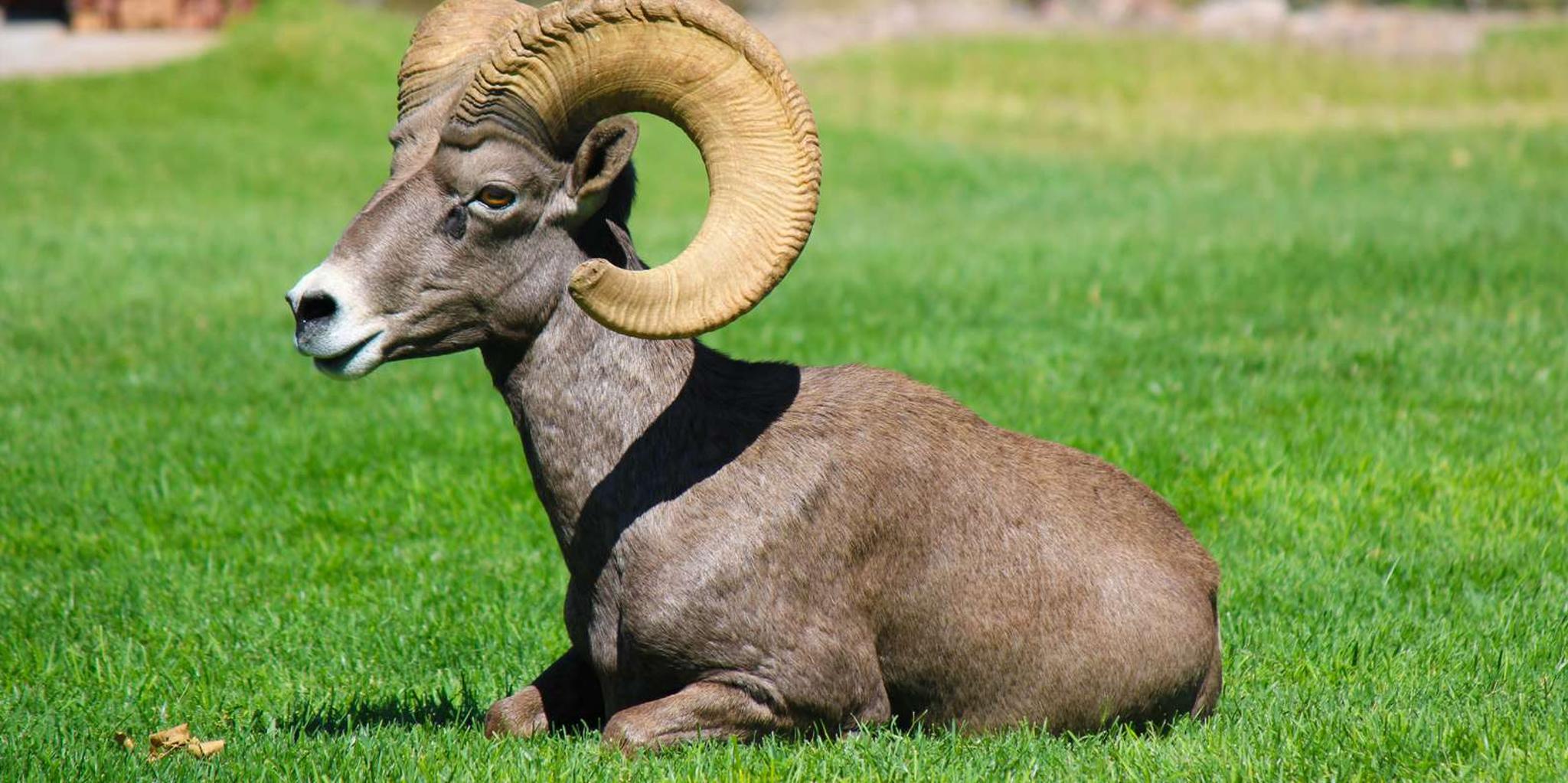 Las Vegas Kayak Tour on the Colorado River - Image 3