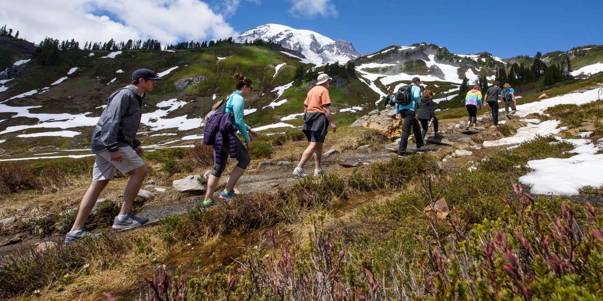 Seattle Mount Rainier National Park Small-Group Tour - Image 2
