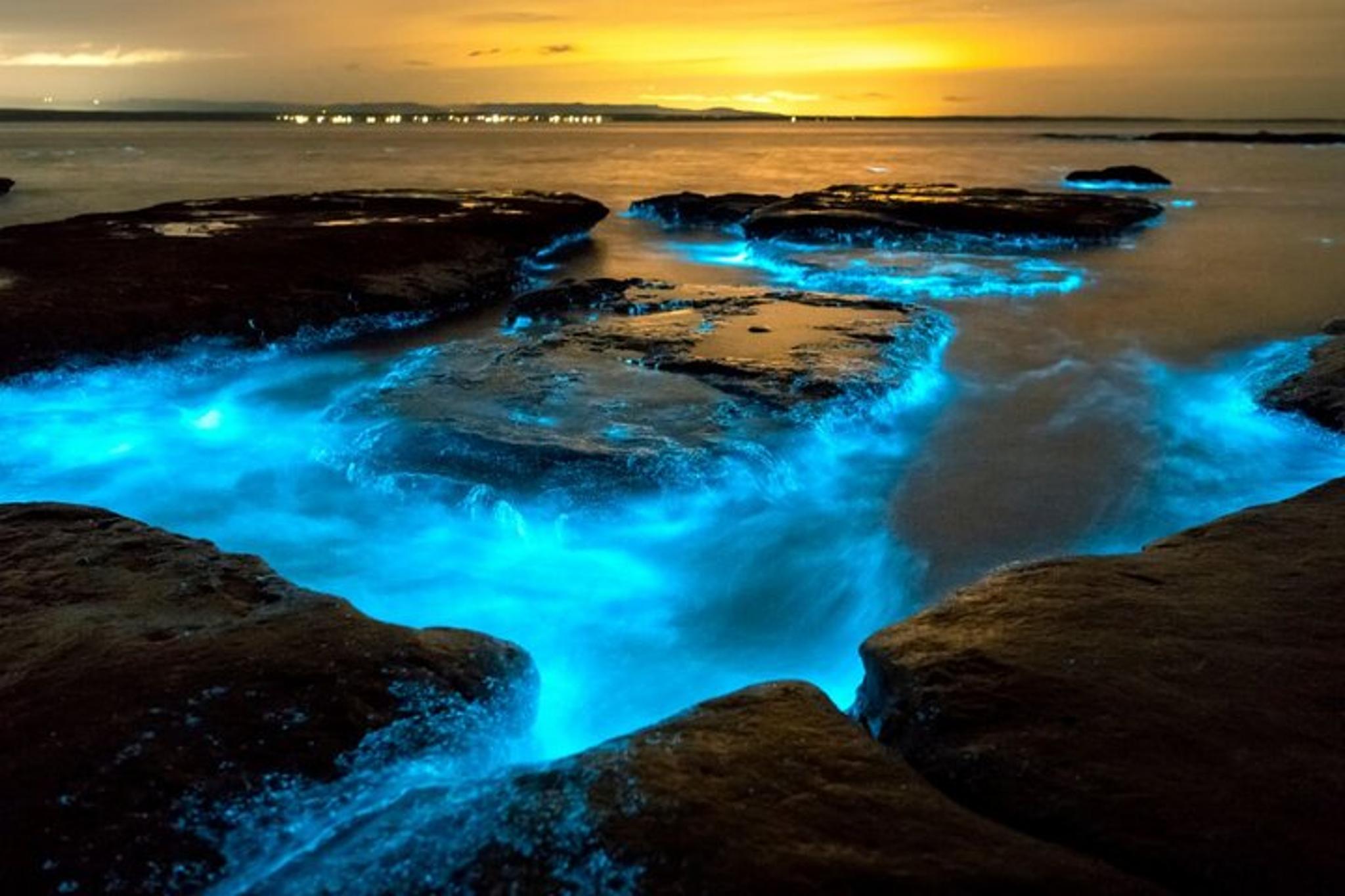 Orlando Bioluminescence Kayak Tour - Image 2