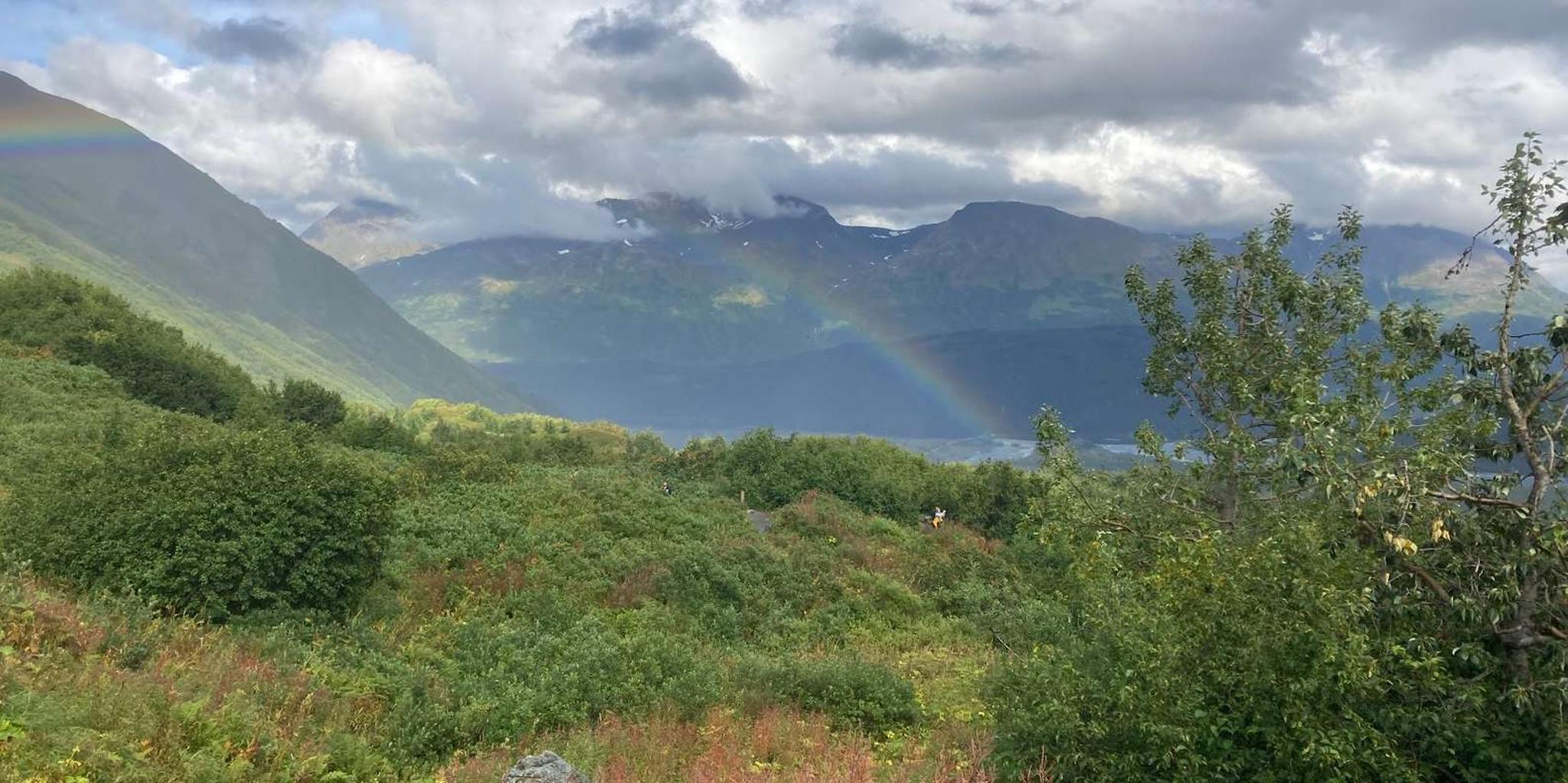 Seward Wilderness Hiking Tour - Image 5