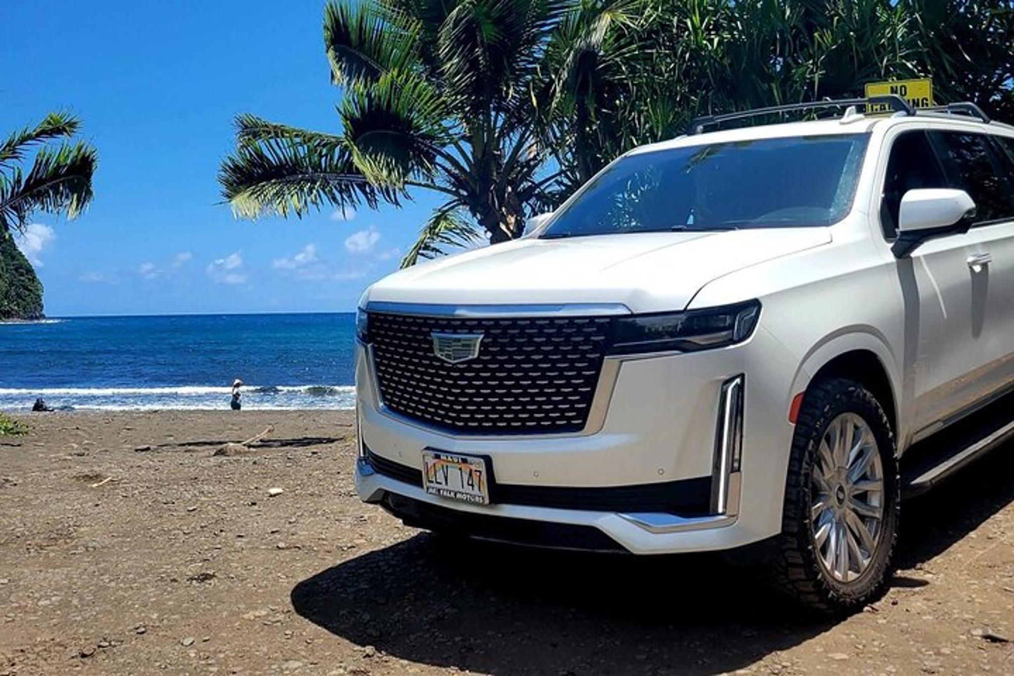 Maui Private Road to Hana Tour - Image 2