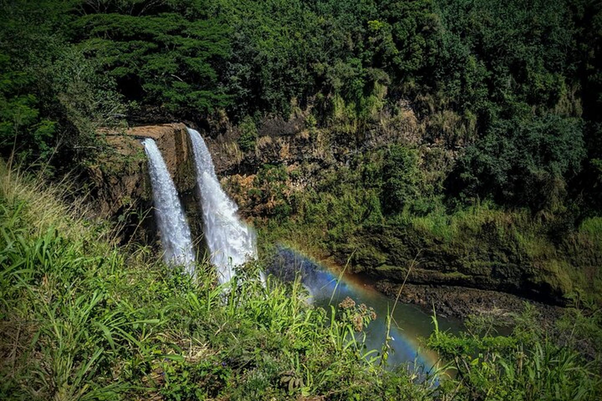 Lihue Kauai Island Movie Tour 7 hr - Image 6