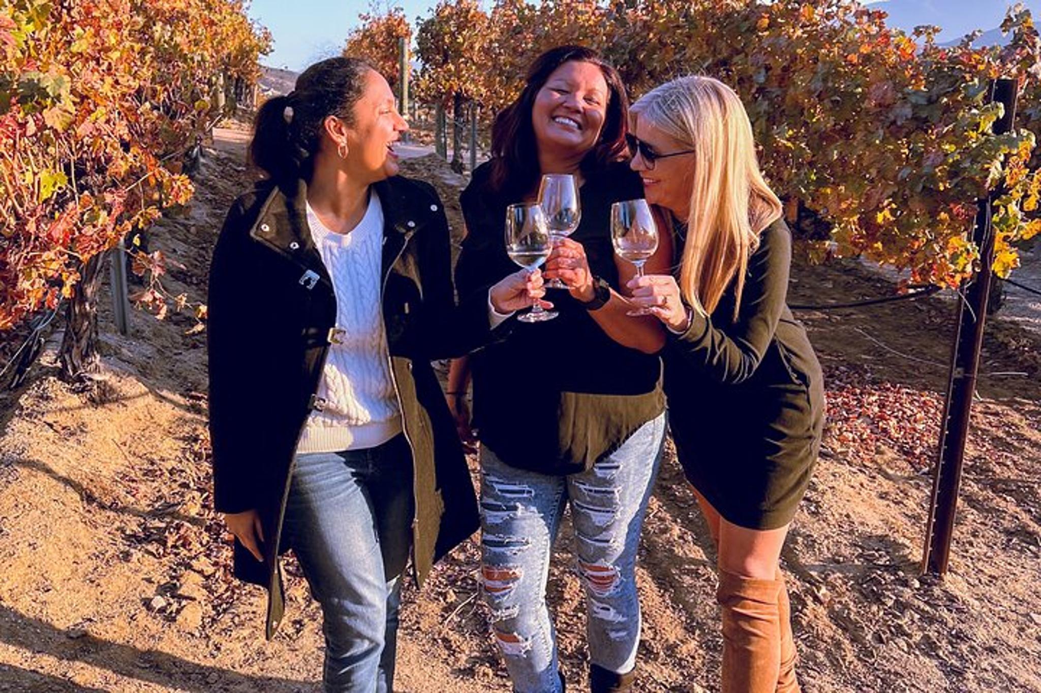 Temecula Valley Private Wine Tour - Image 2