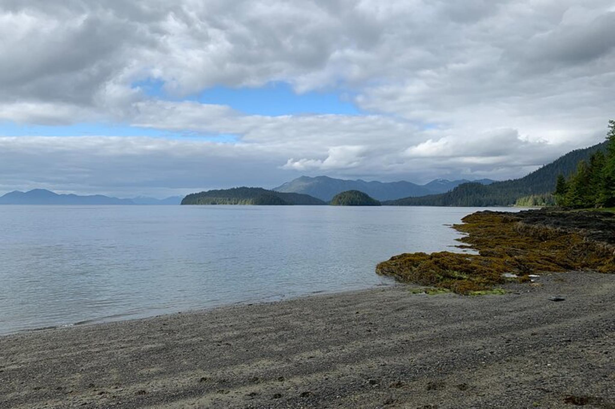Ketchikan Low Tide Excursion and Totem Bight Park - Image 6