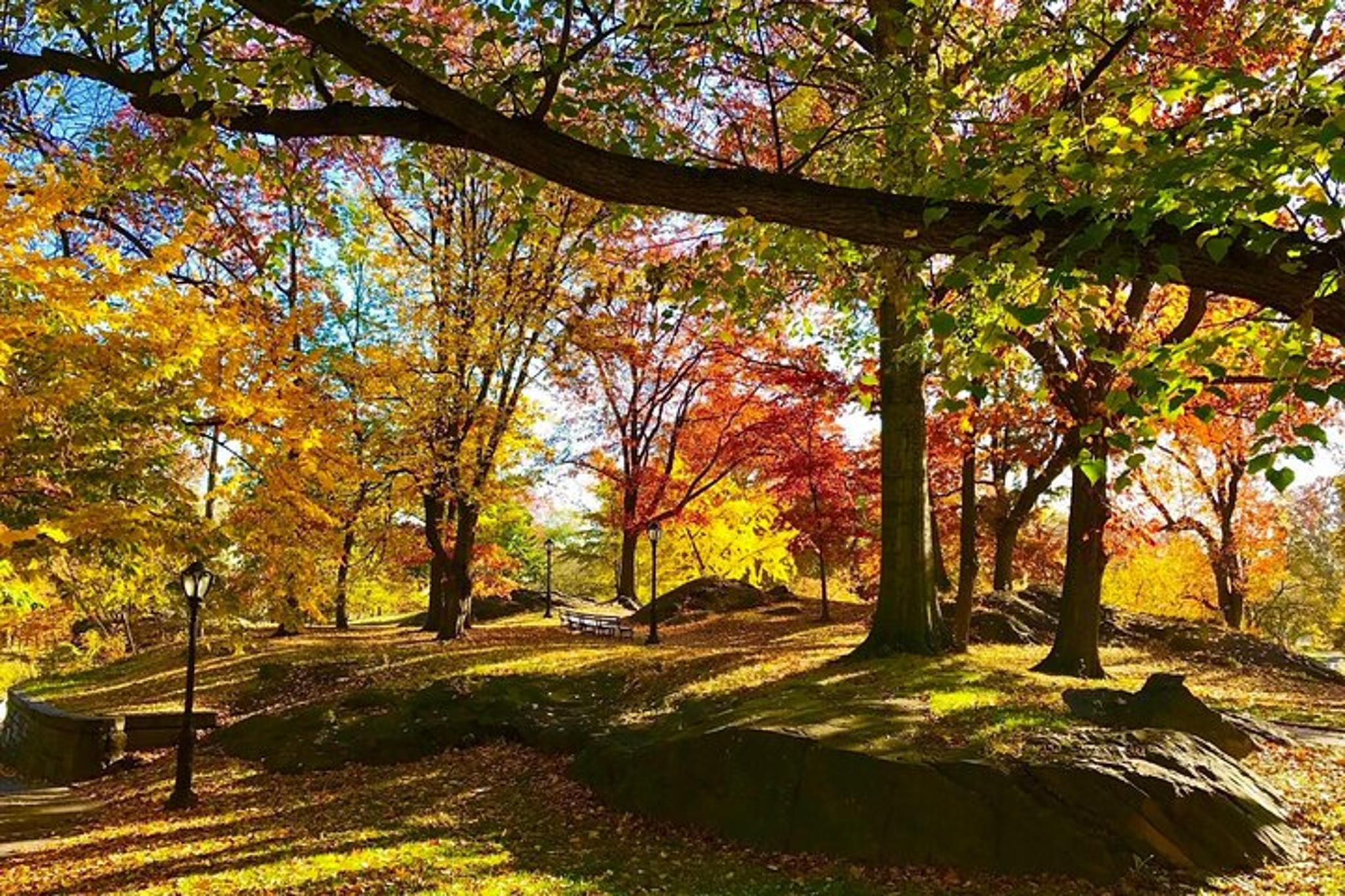 New York City Neighborhoods Bike Tour - Image 4