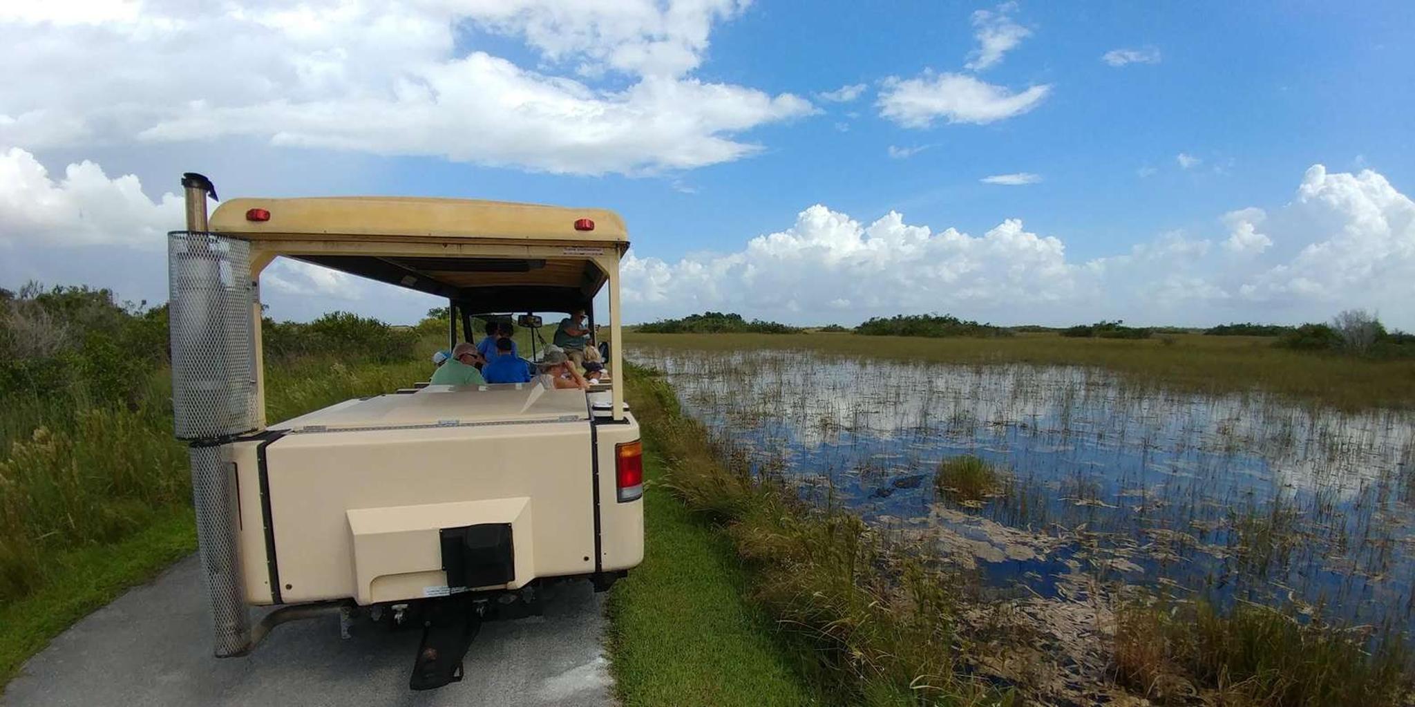Miami Everglades Airboat and Tram Tour - Image 5