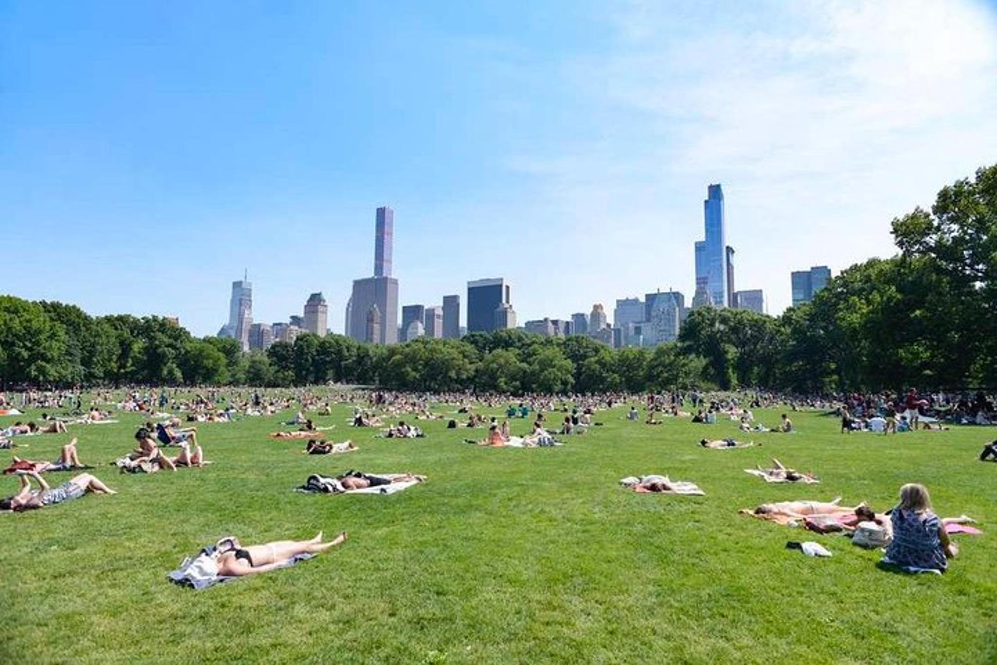 New York Central Park Walking Tour in French