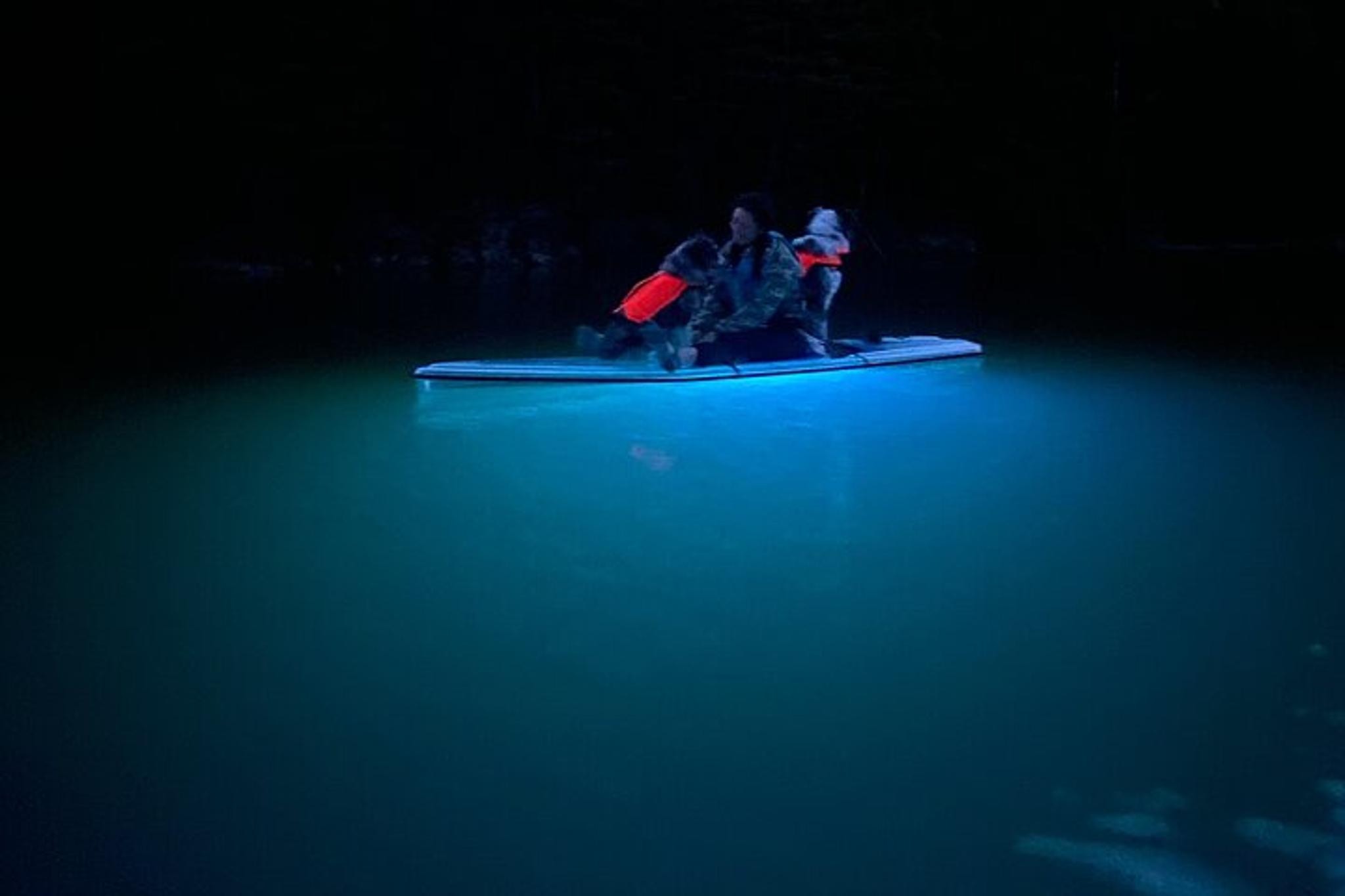 Hungry Horse LED Clear Paddleboard Rentals at Sunset