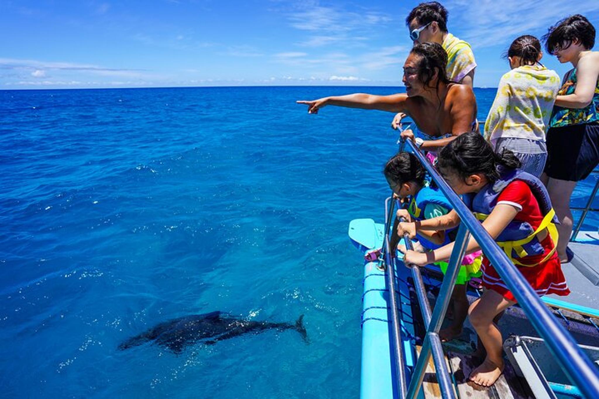 Waikiki Snorkeling Tour with Sea Turtles 2.5 hr - Image 6