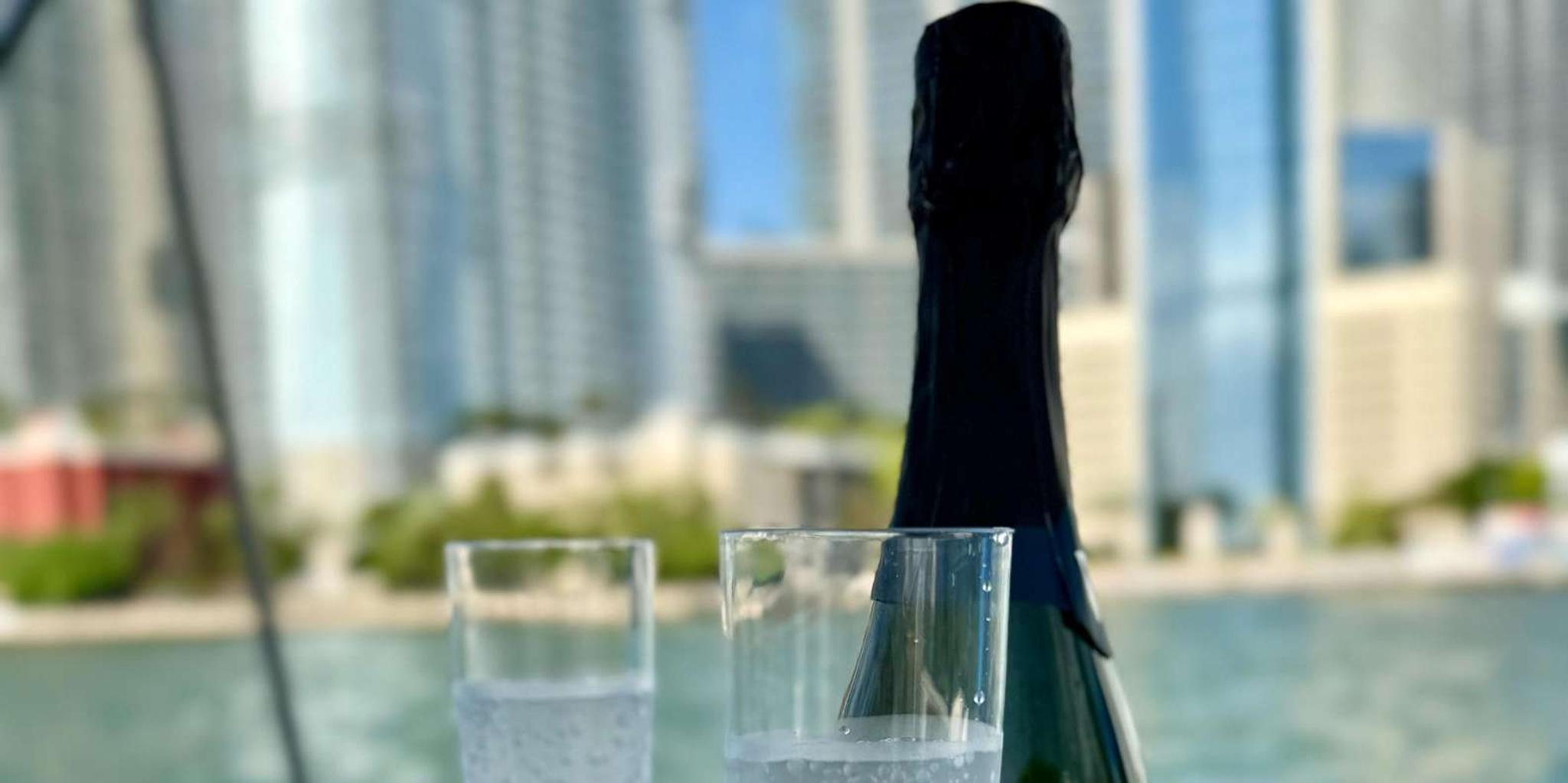 Miami Yacht Cruise with Champagne & Skyline - Image 4