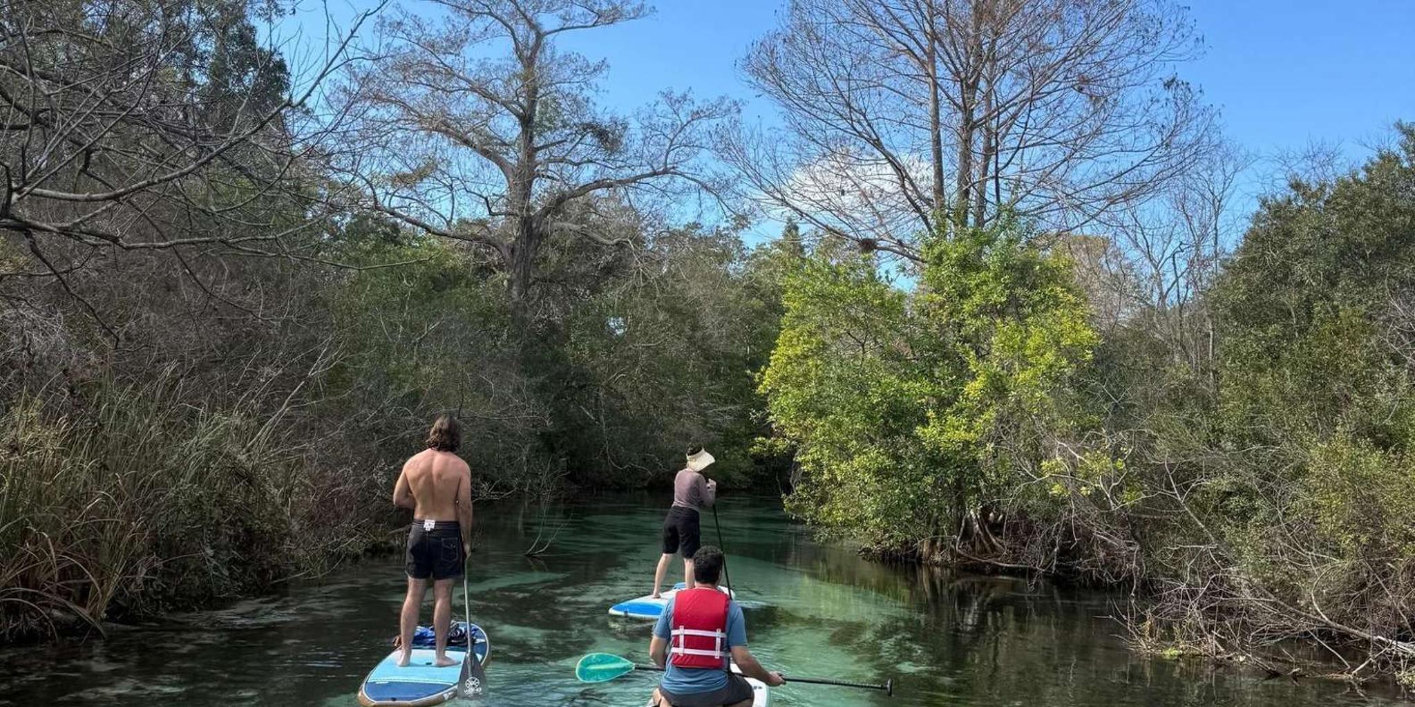 Sarasota Paddleboard Rental at Turtle Beach - Image 1