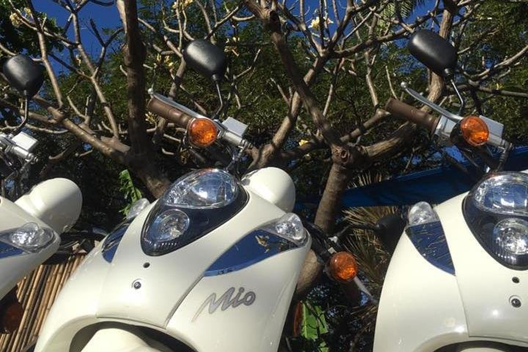 Lahaina Moped Rental Experience - Image 6