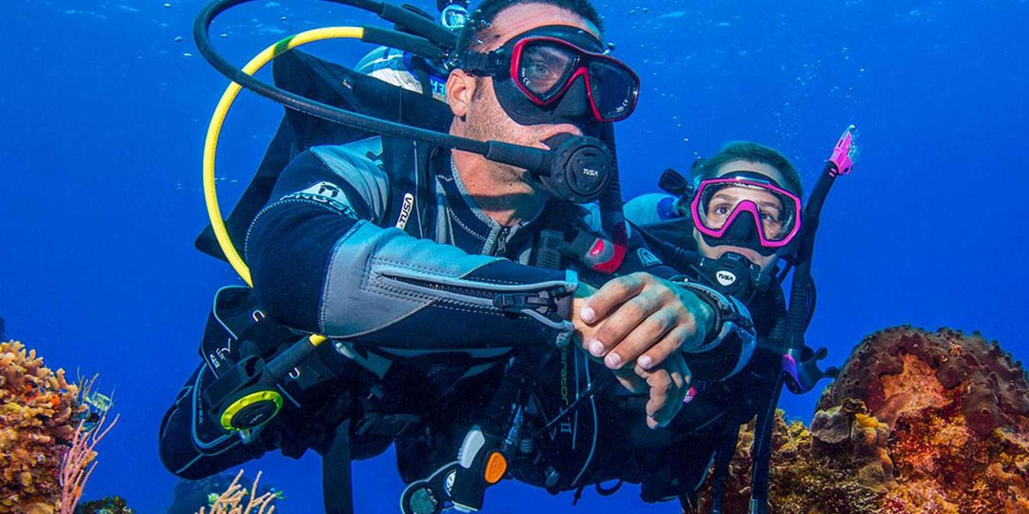 Miami Scuba Diving: Reef and Wreck Adventure - Image 4